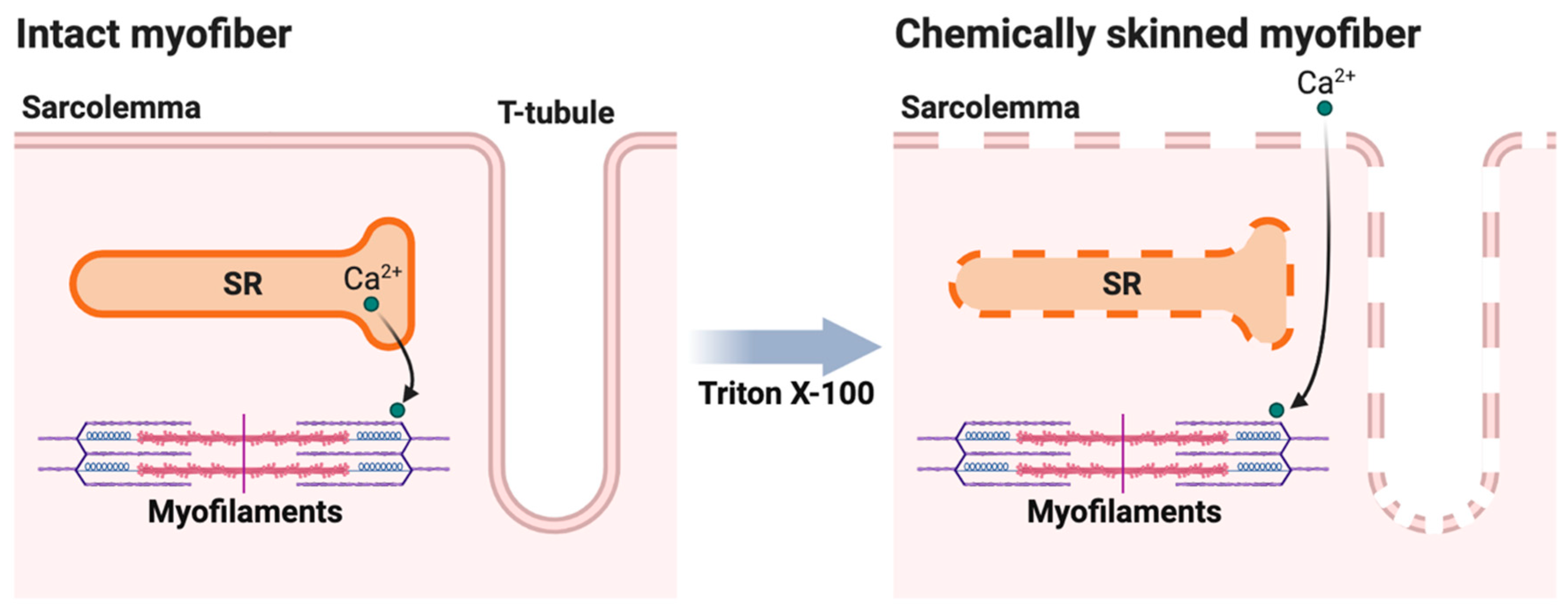 Ijms 24 00076 g006 Ijms 24 00076 g006