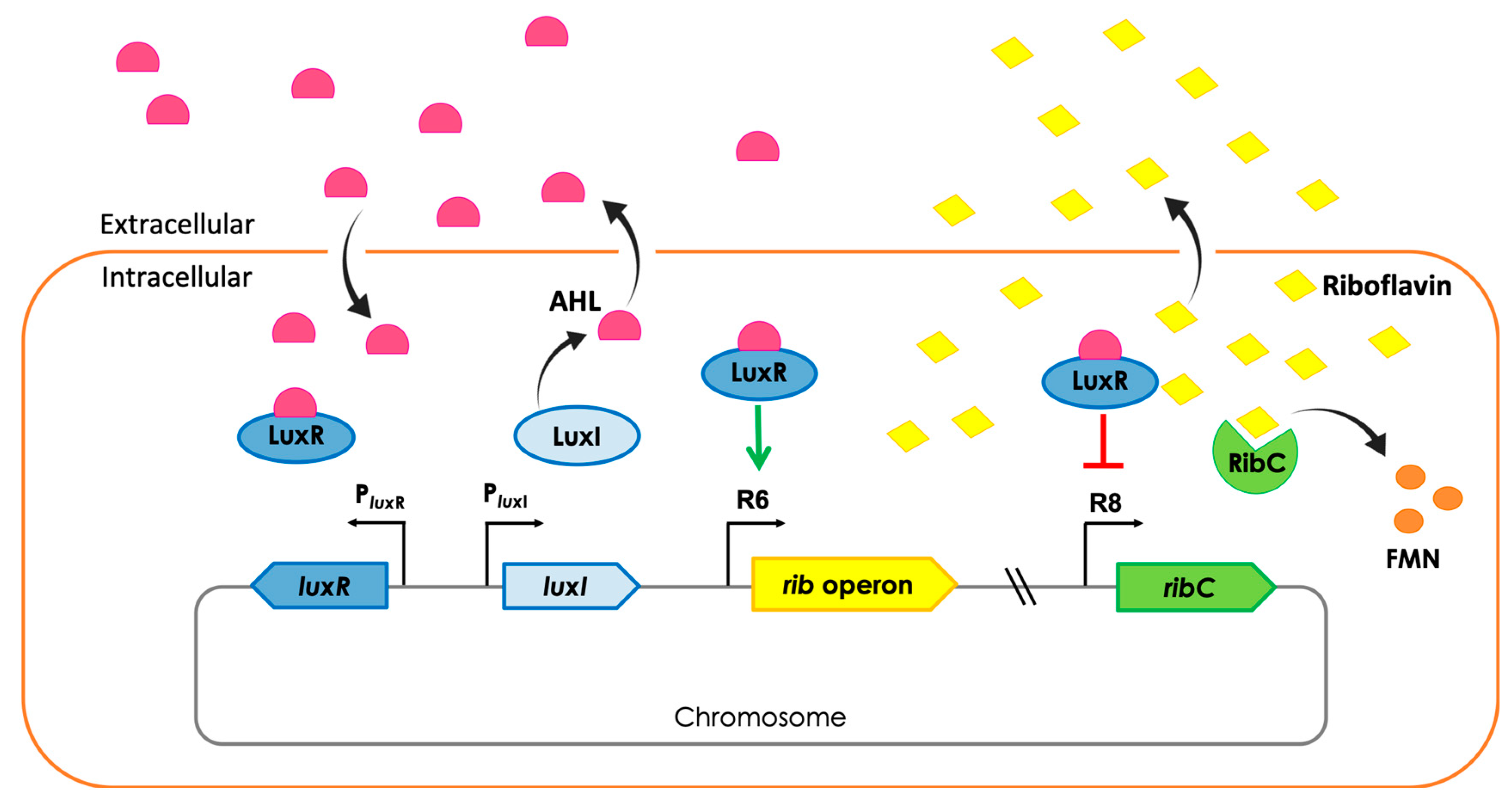 Ijms 24 00084 g001 Ijms 24 00084 g001