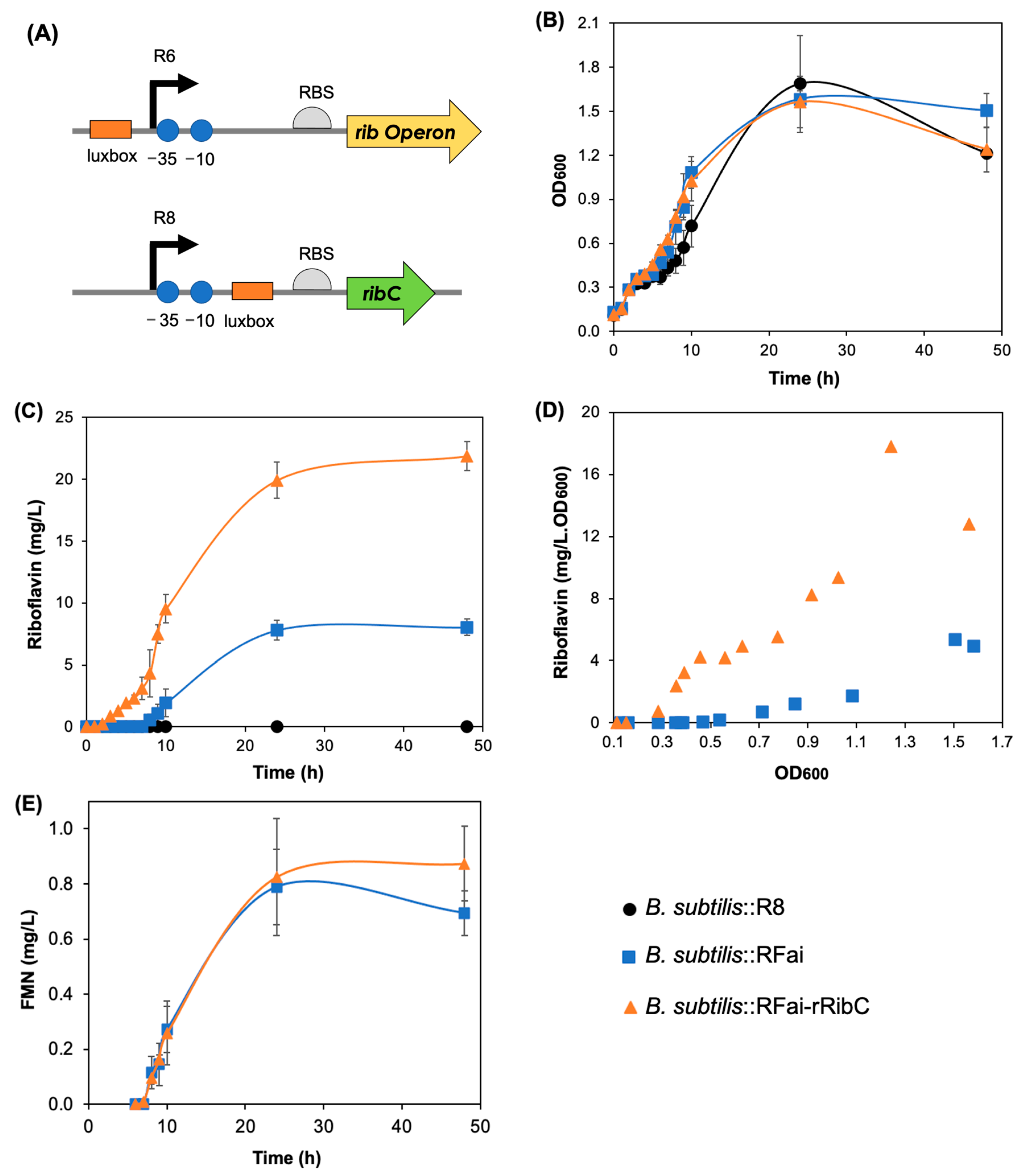 Ijms 24 00084 g002 Ijms 24 00084 g002