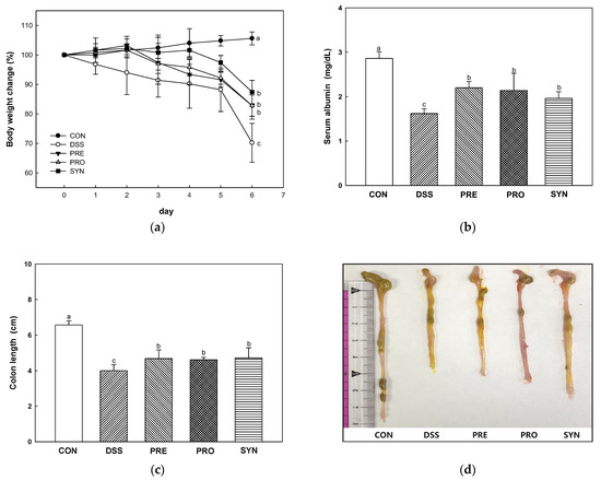 yi______  Pathogenesis and Bone Resorption in Acquired Cholesteatoma