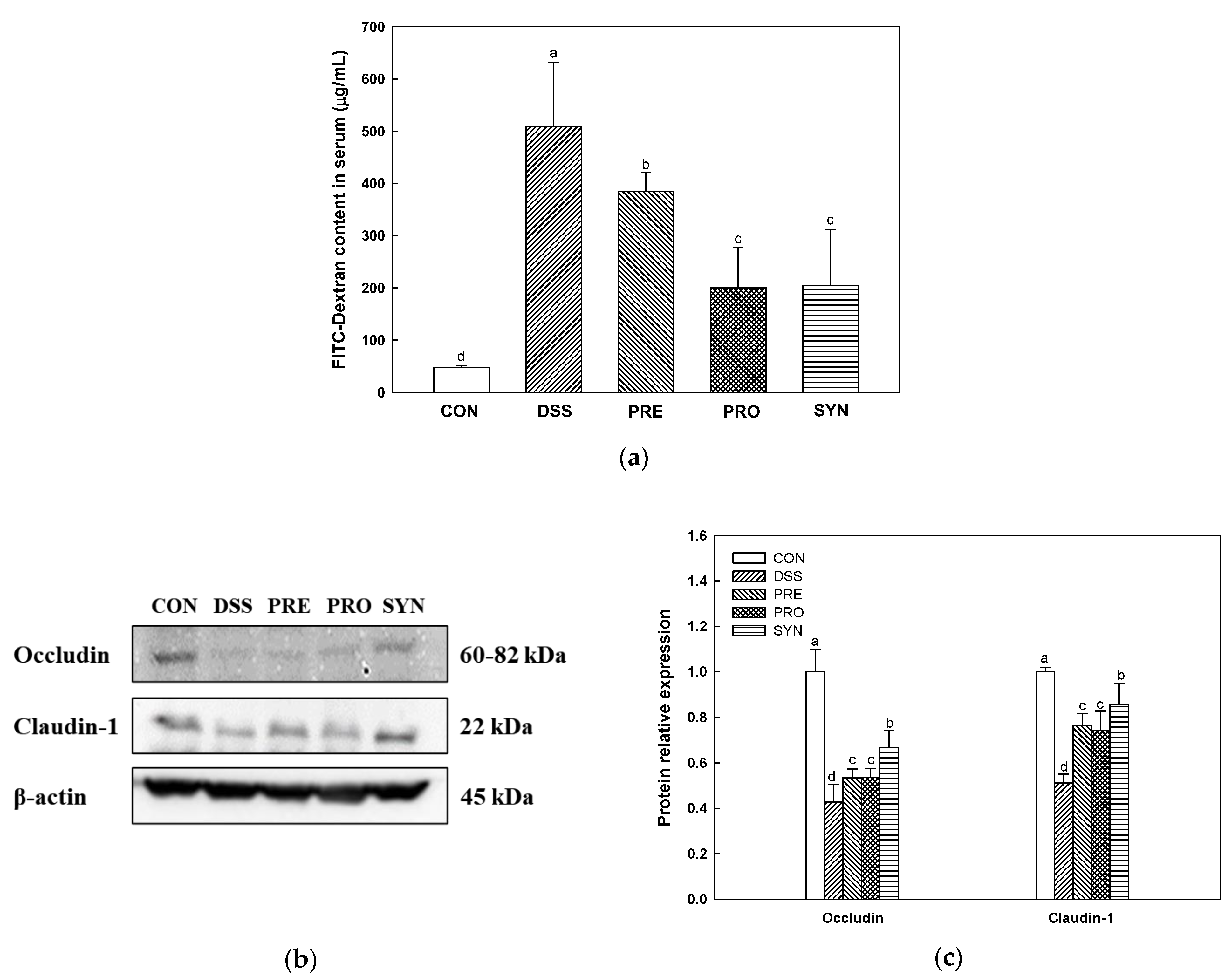 Ijms 24 00090 g002 Ijms 24 00090 g002