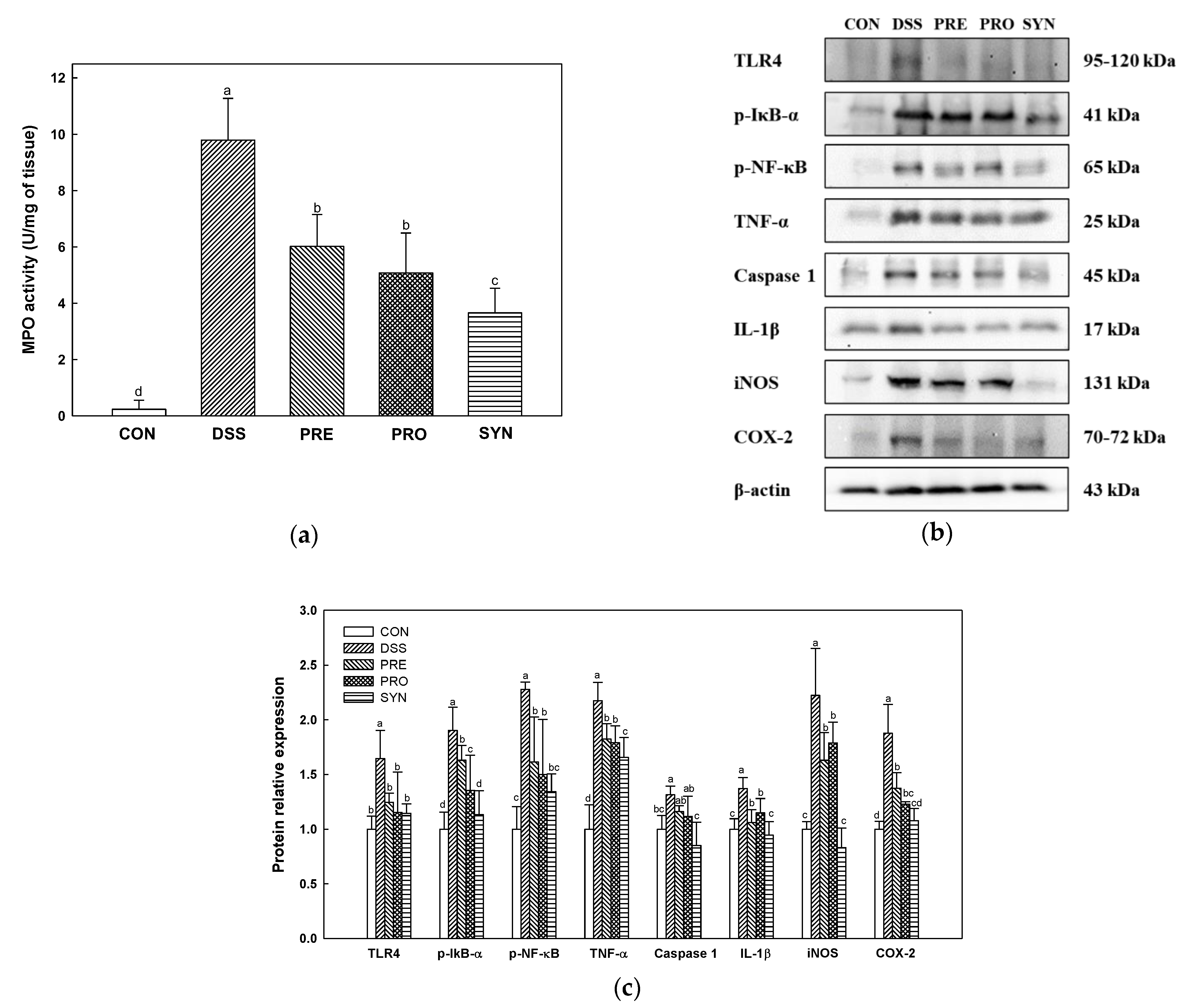 Ijms 24 00090 g003 Ijms 24 00090 g003