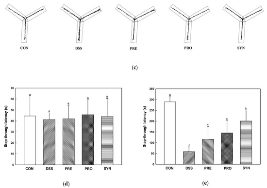 Anti-Amnesic Effect of Synbiotic Supplementation Containing