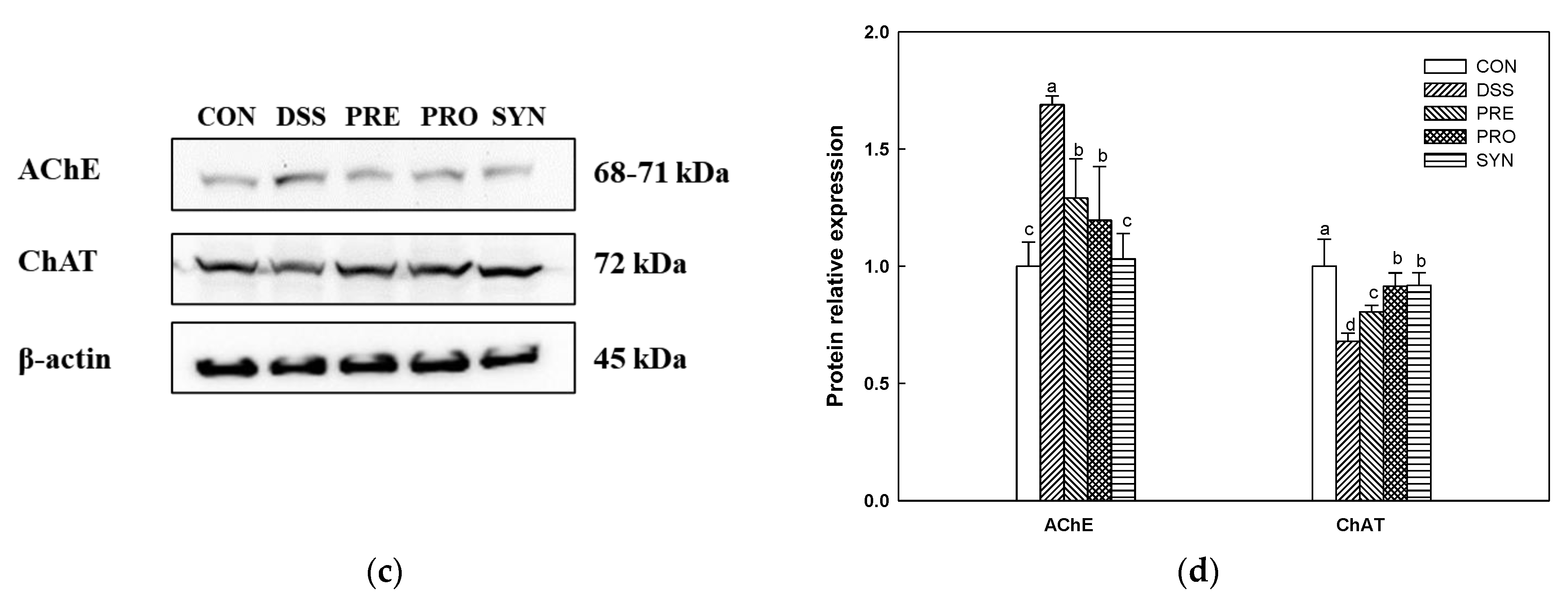 Ijms 24 00090 g007b Ijms 24 00090 g007b