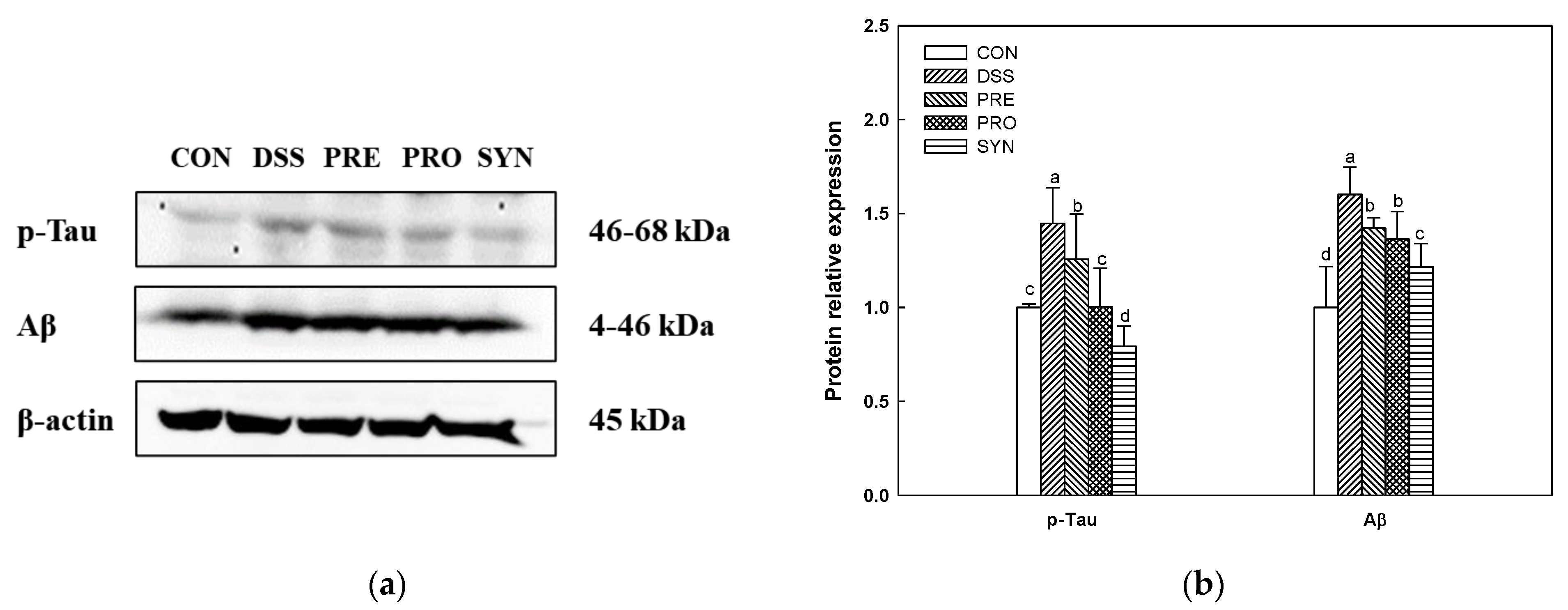 Ijms 24 00090 g008 Ijms 24 00090 g008