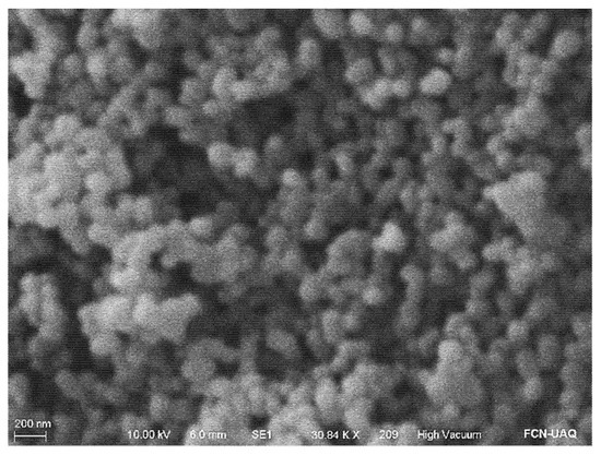 Long-Term Refrigerated Storage of Beef Using an Active Edible Film 