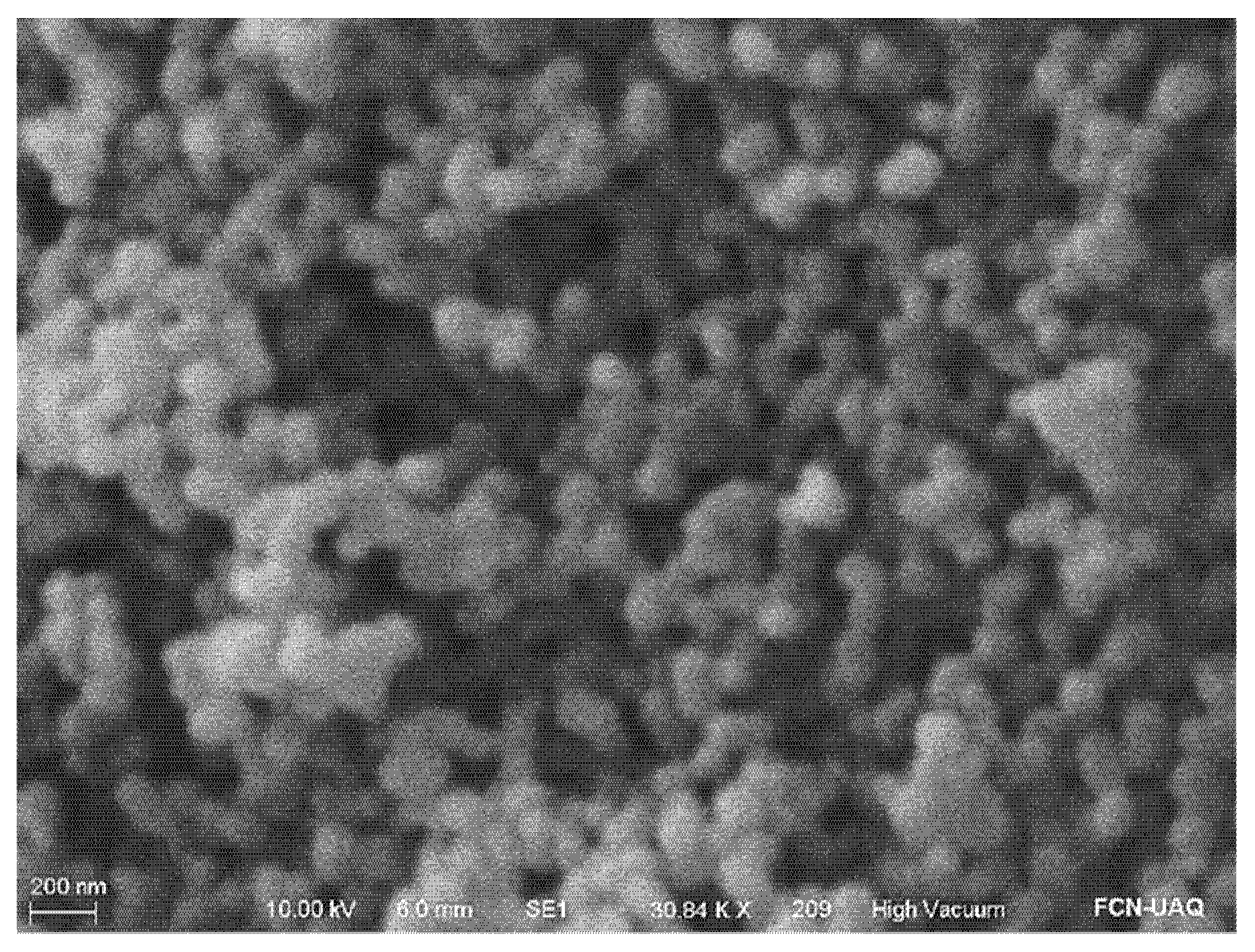 Ijms 24 00092 g001 Ijms 24 00092 g001