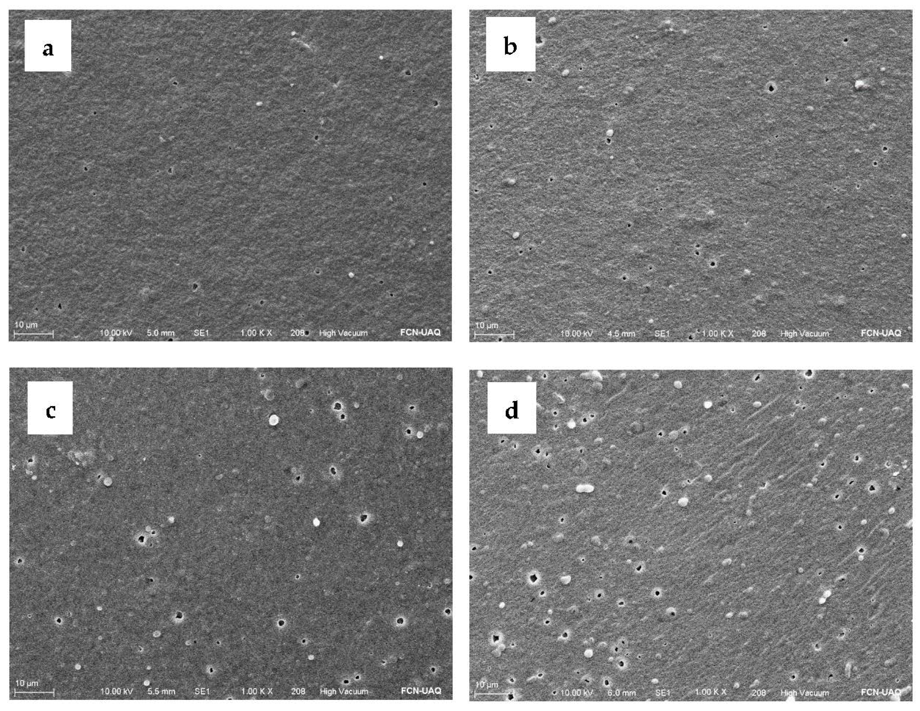 Ijms 24 00092 g003 Ijms 24 00092 g003