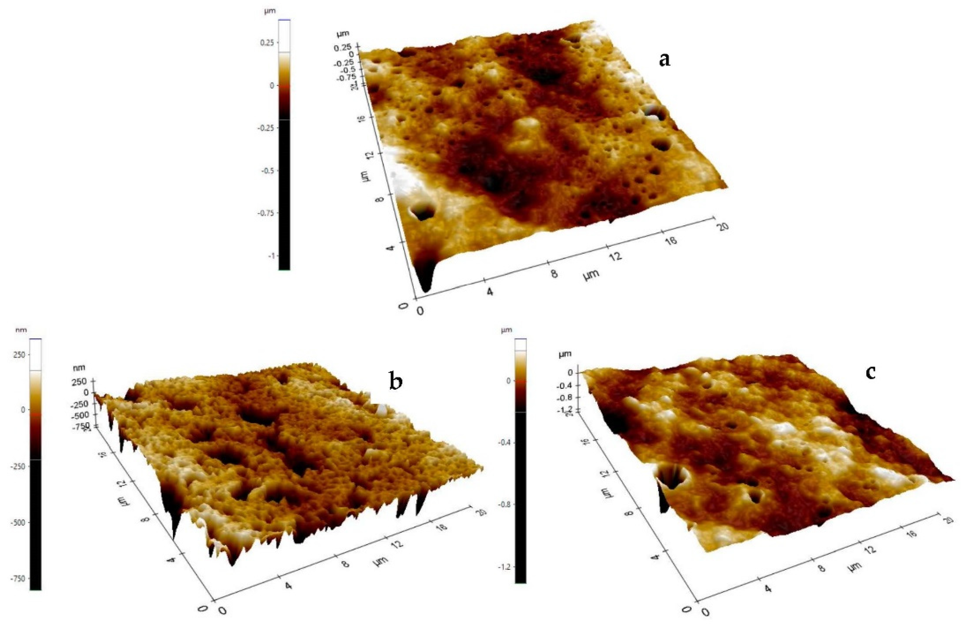 Ijms 24 00092 g004 Ijms 24 00092 g004