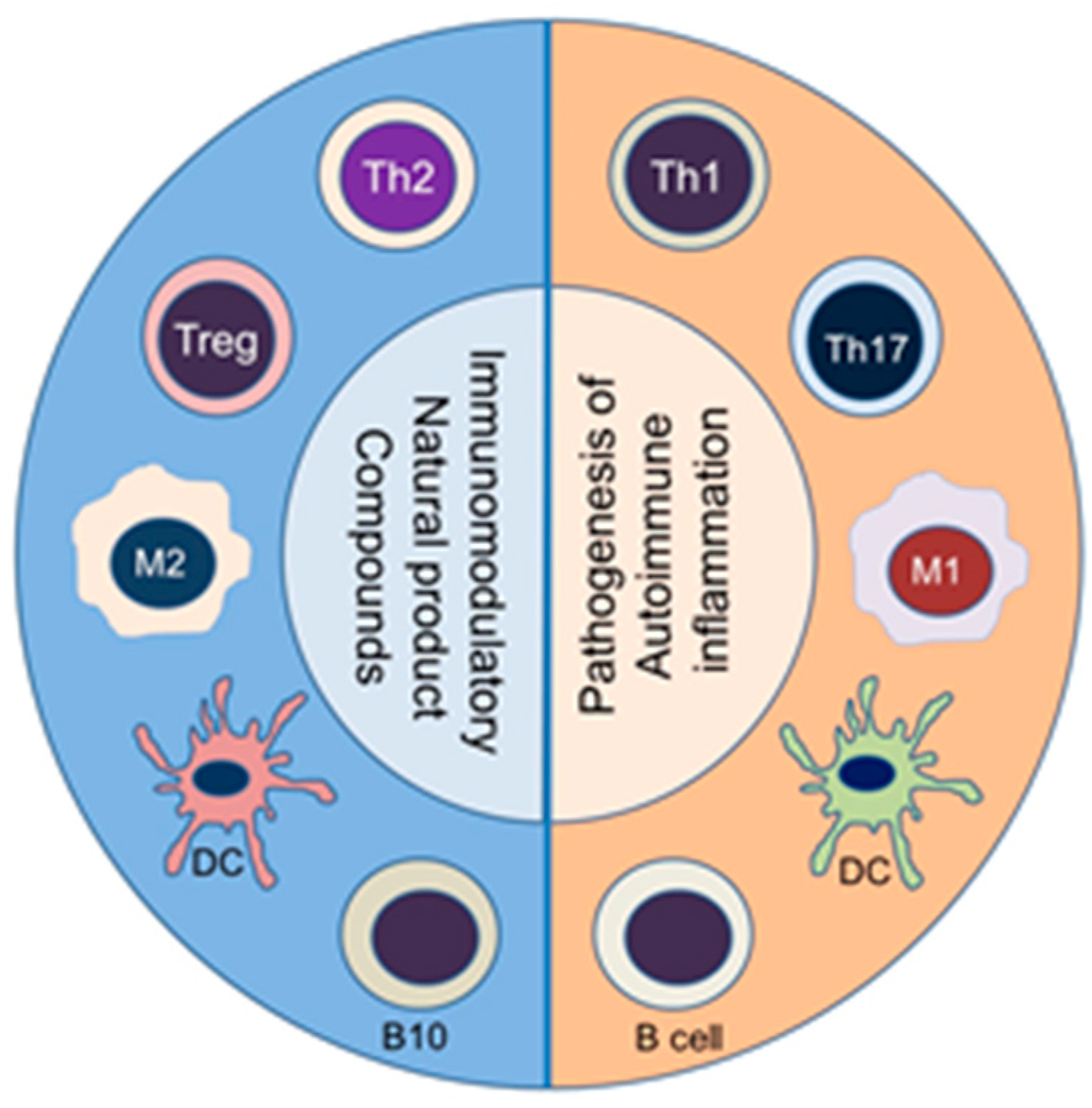 Immunomodulatory response in an experimental model of brain death