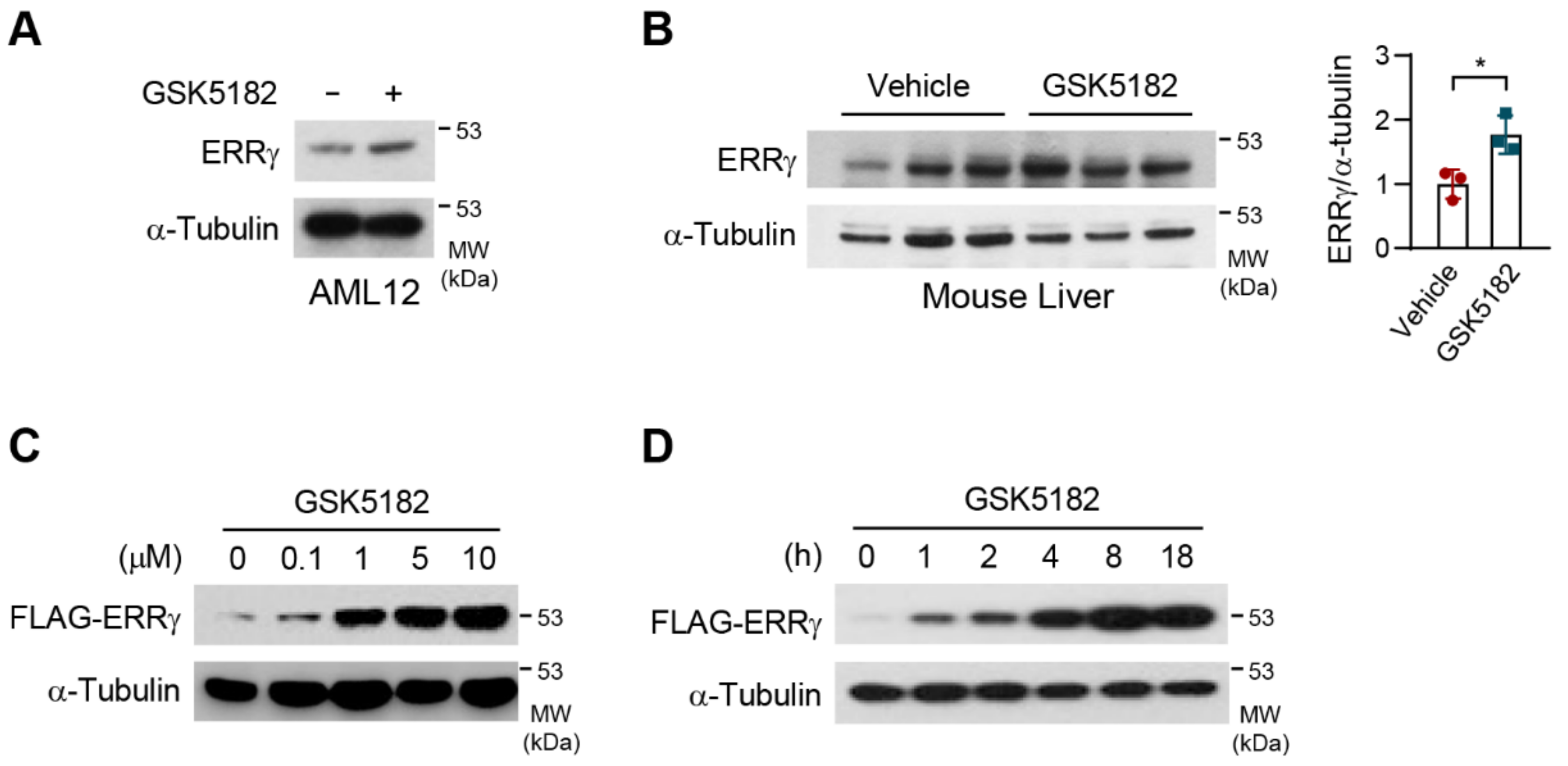 Ijms 24 00096 g001 Ijms 24 00096 g001