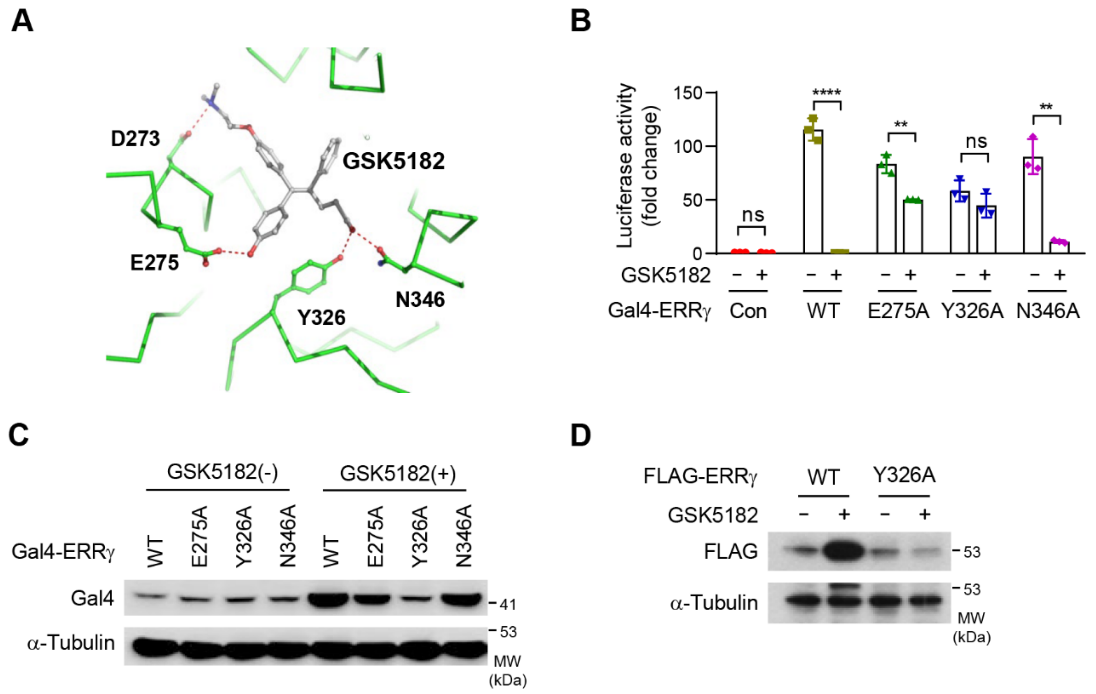 Ijms 24 00096 g003 Ijms 24 00096 g003