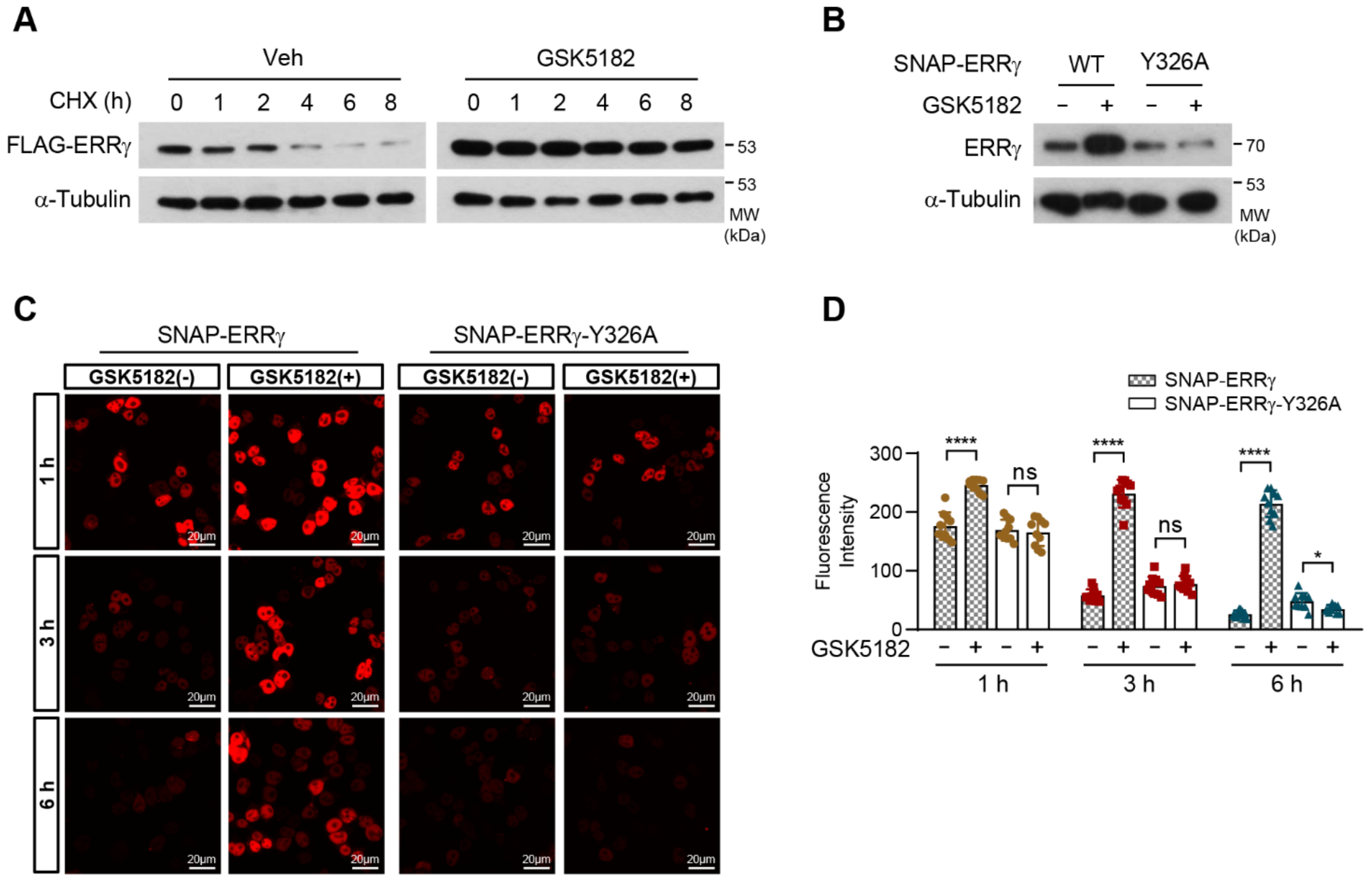 Ijms 24 00096 g004 Ijms 24 00096 g004