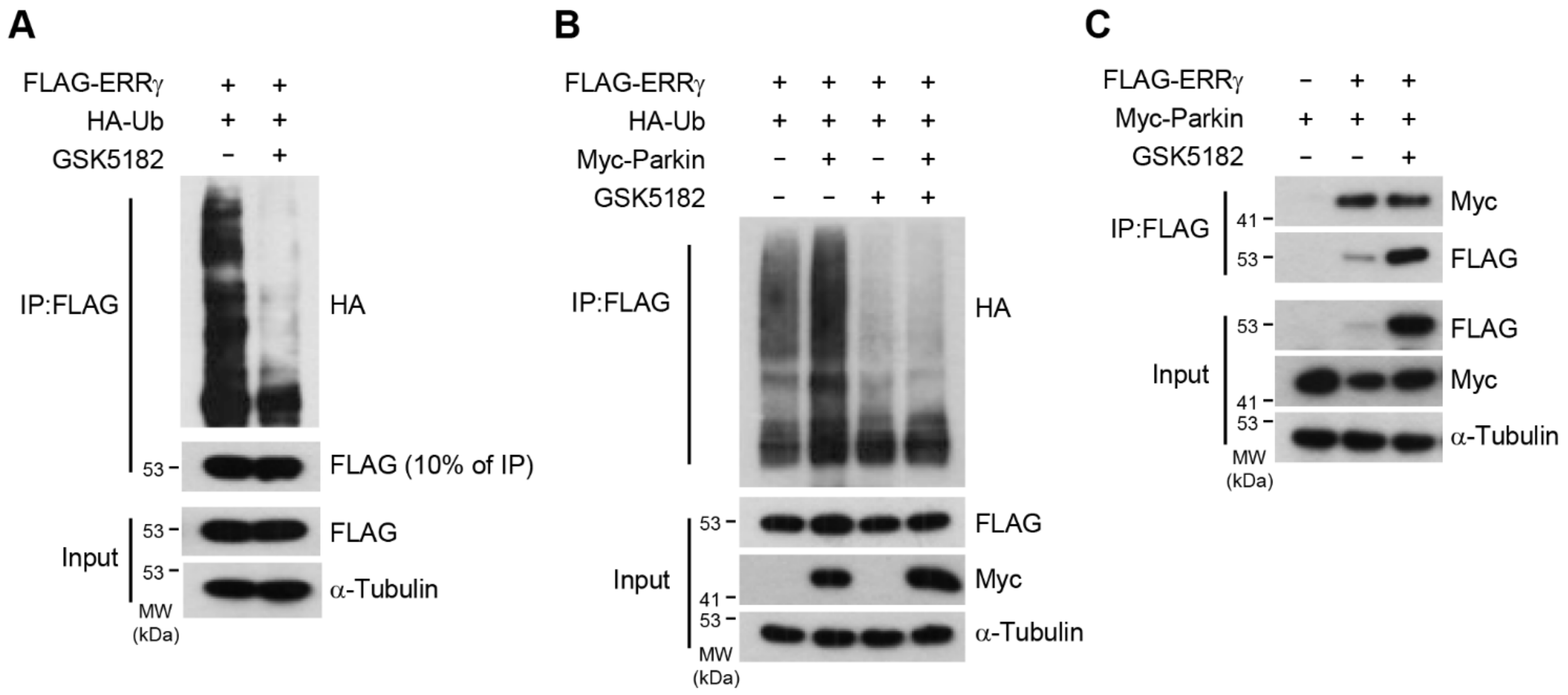 Ijms 24 00096 g005 Ijms 24 00096 g005