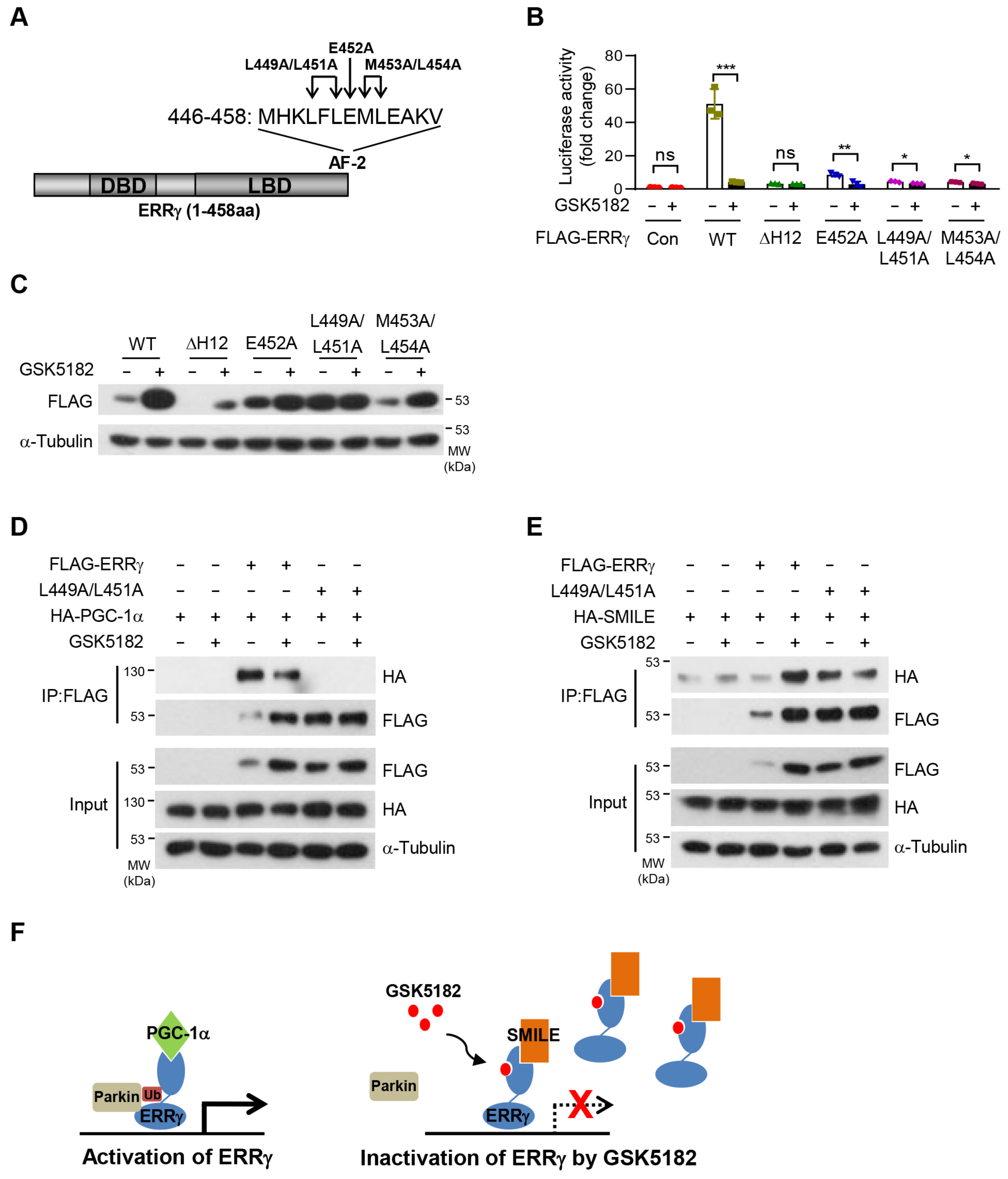 Ijms 24 00096 g007 Ijms 24 00096 g007