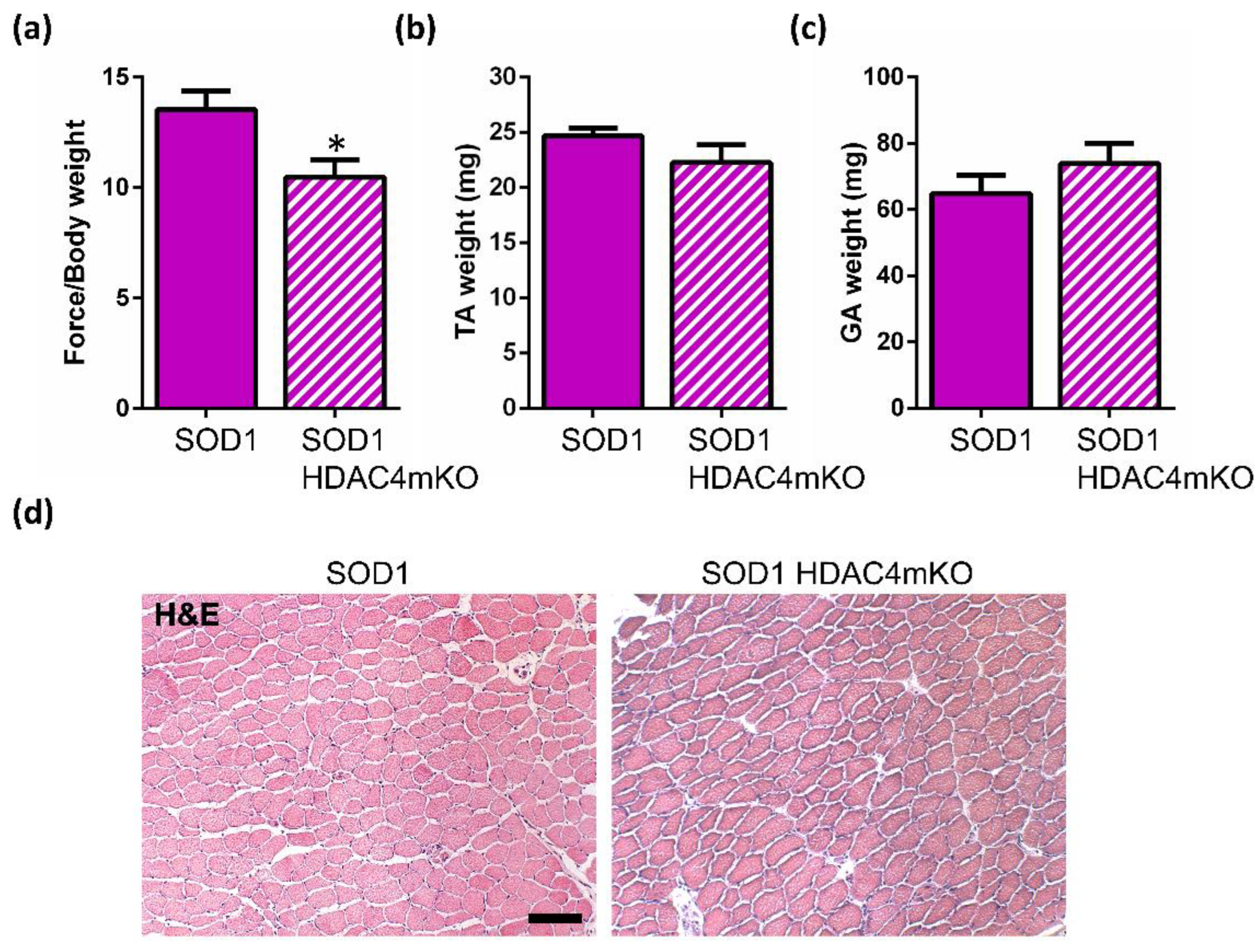 Ijms 24 00098 g003 Ijms 24 00098 g003