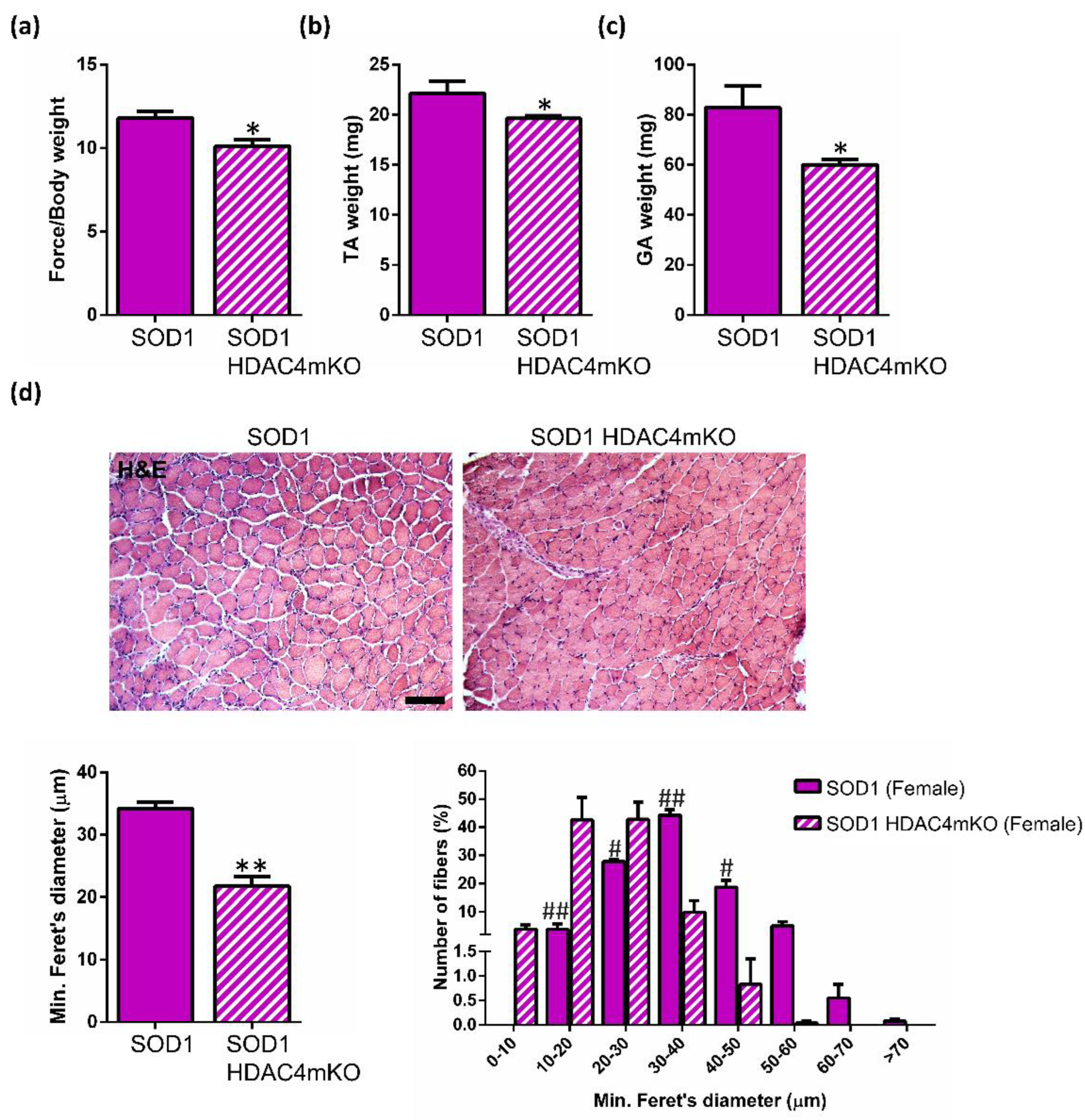 Ijms 24 00098 g004 Ijms 24 00098 g004