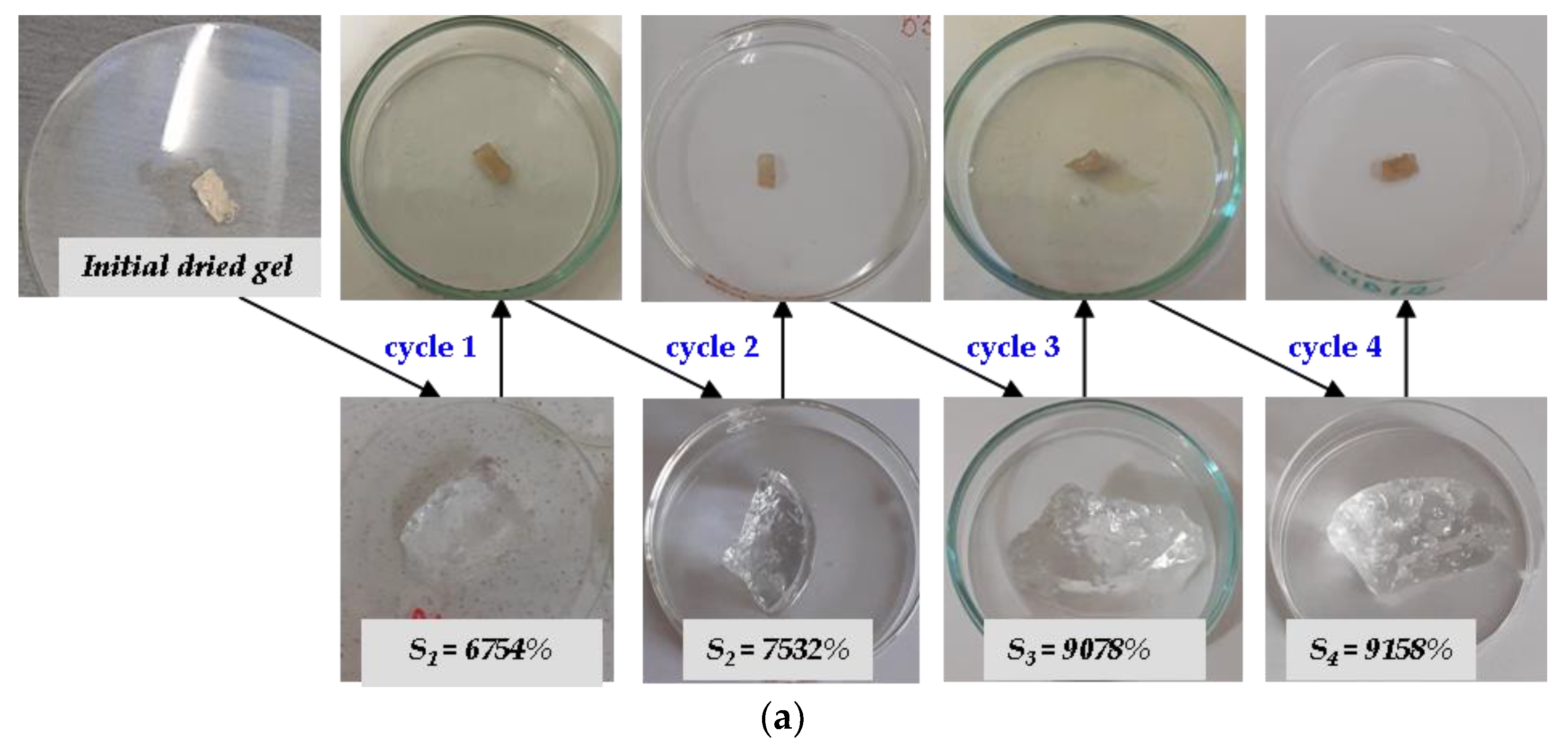Ijms 24 00104 g009a Ijms 24 00104 g009a
