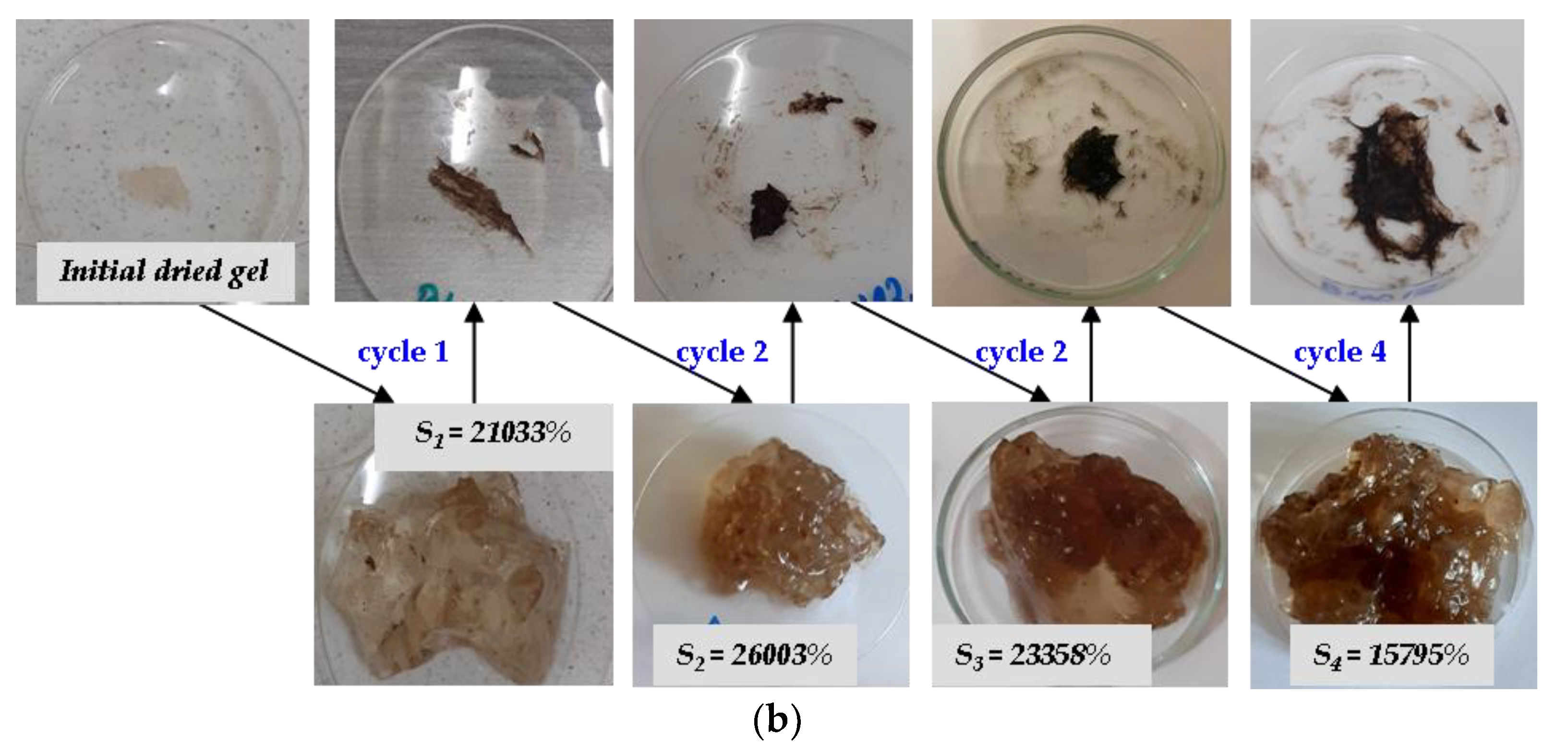 Ijms 24 00104 g009b Ijms 24 00104 g009b