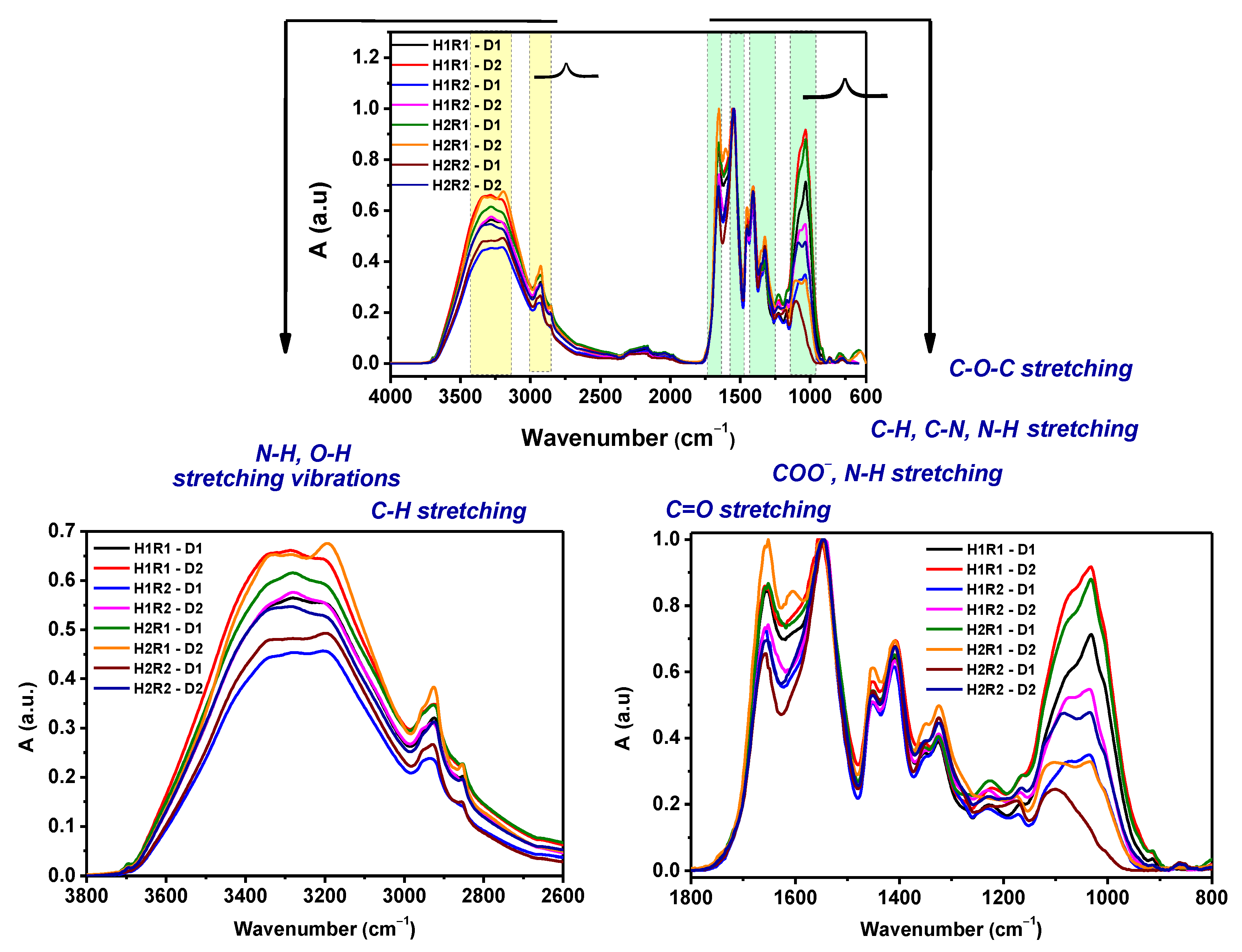 Ijms 24 00104 g010 Ijms 24 00104 g010