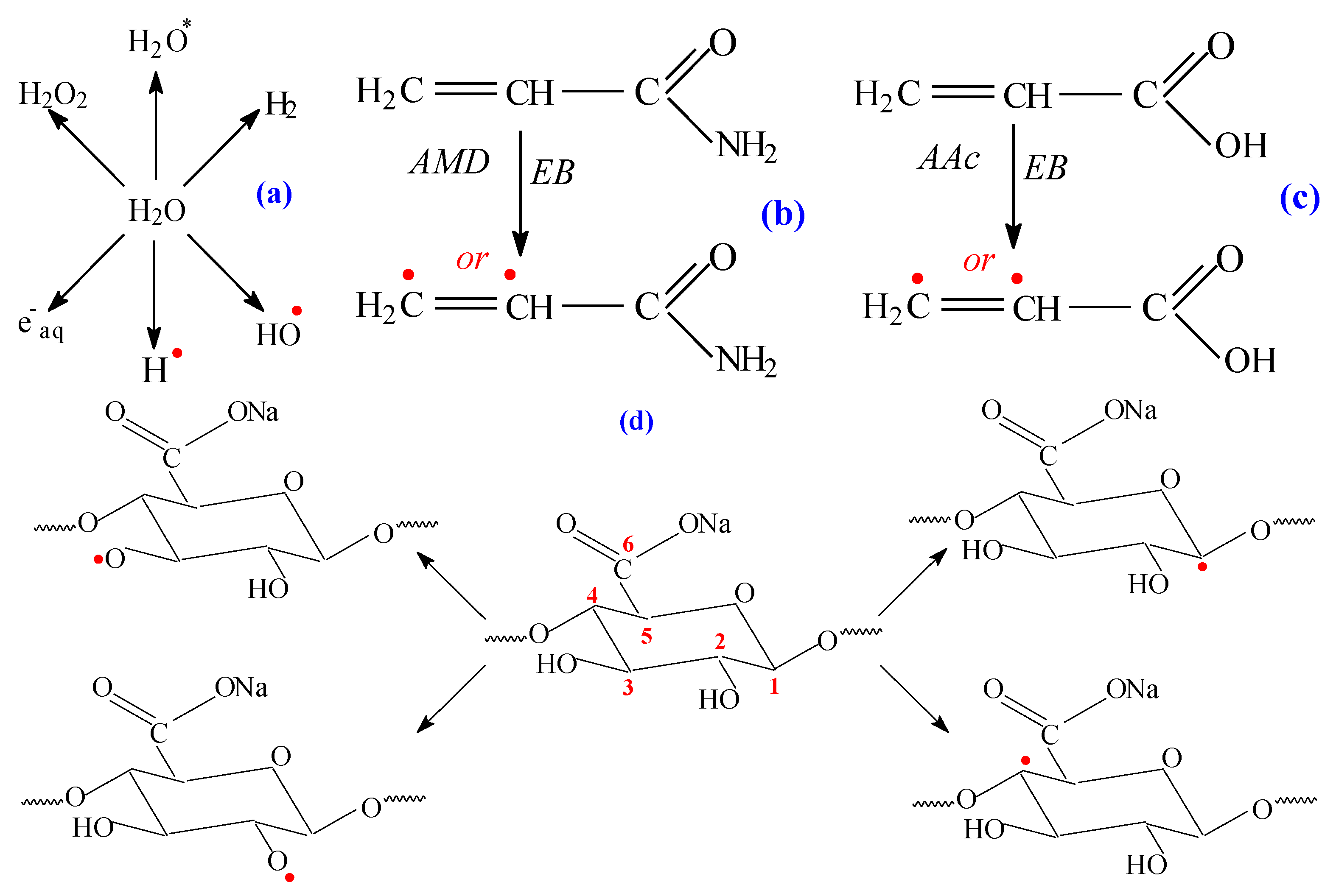 Ijms 24 00104 g012 Ijms 24 00104 g012