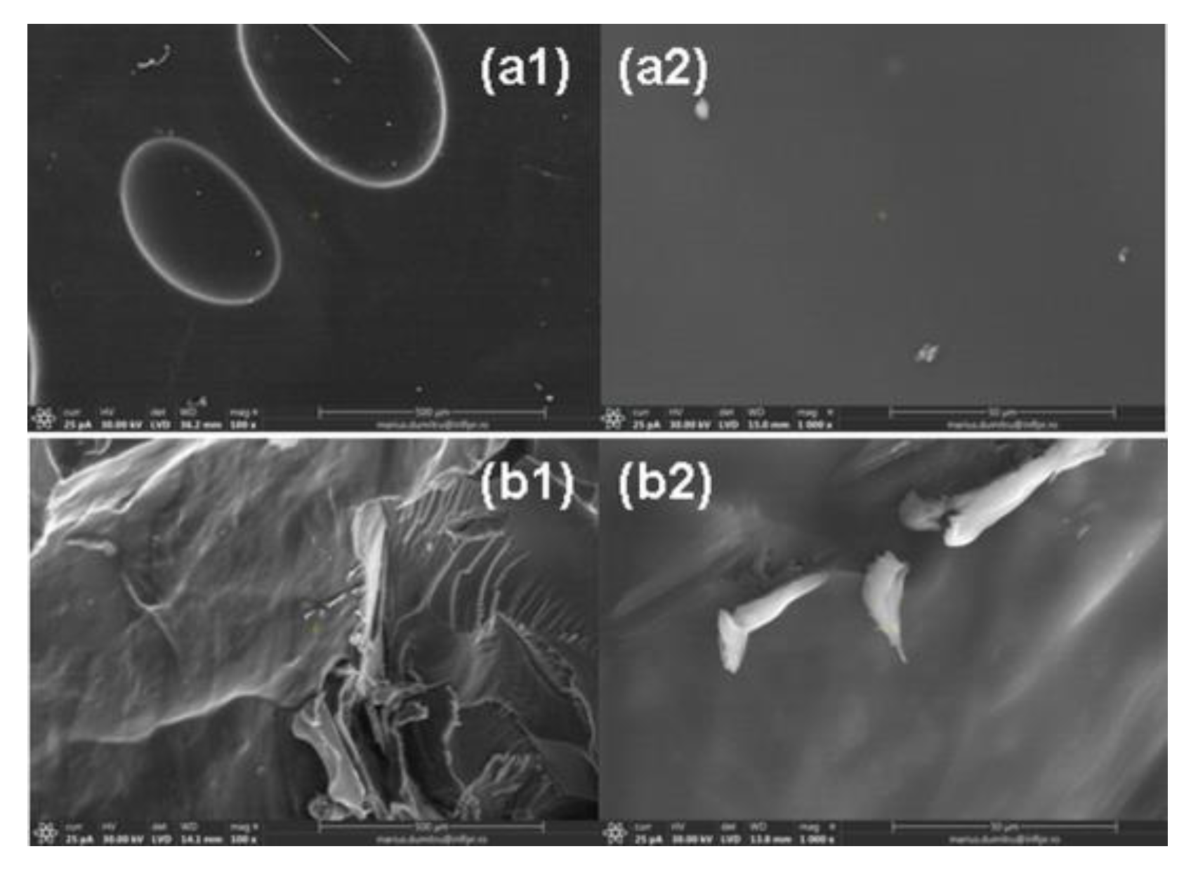 Ijms 24 00104 g014 Ijms 24 00104 g014