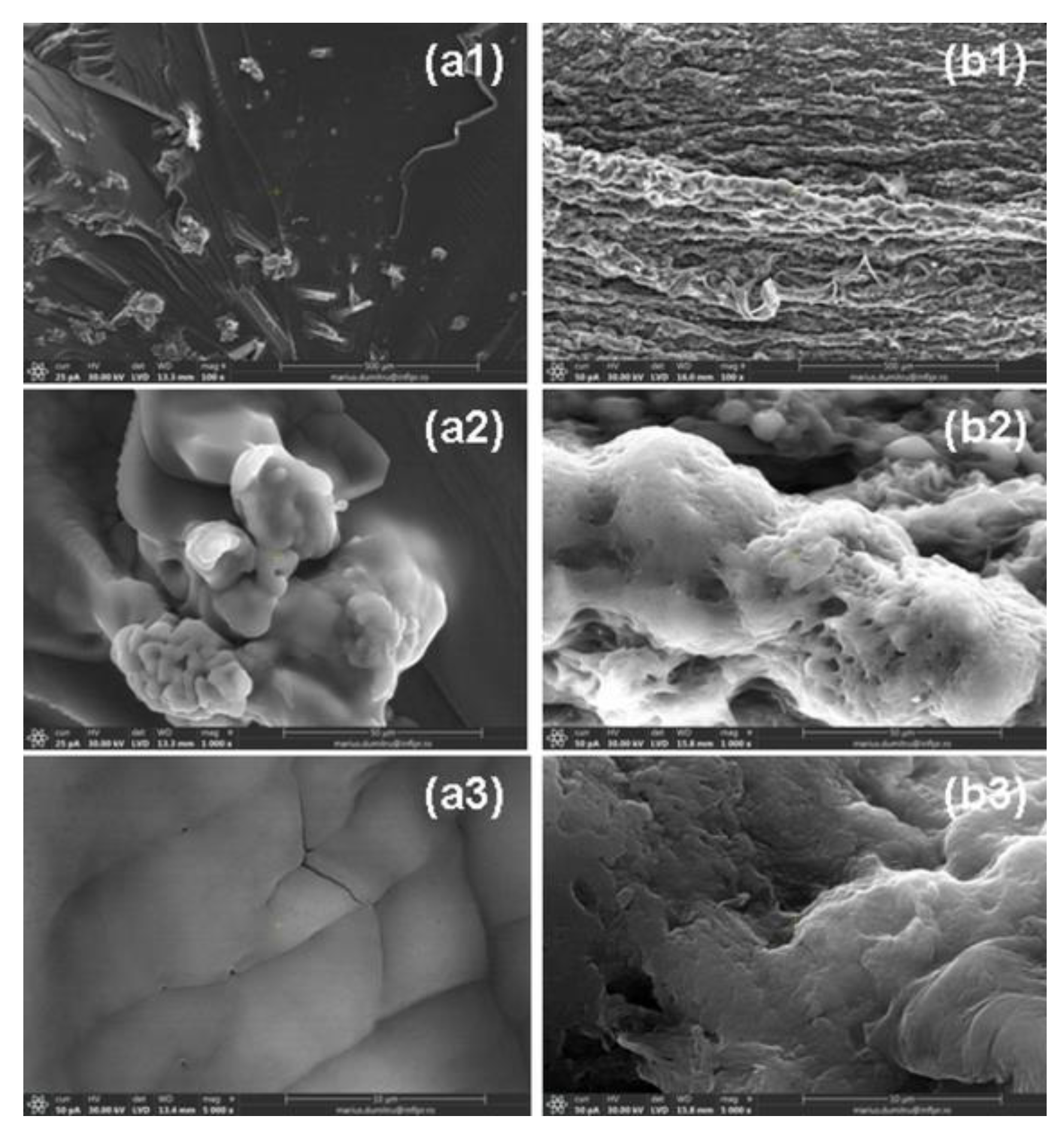 Ijms 24 00104 g016 Ijms 24 00104 g016