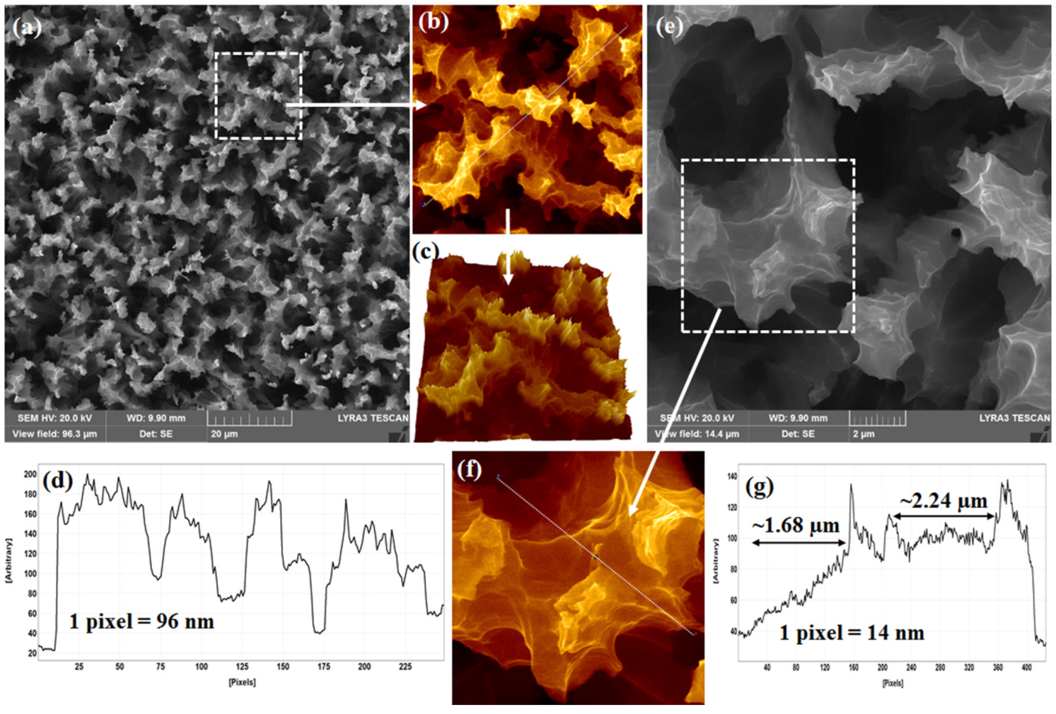 Ijms 24 00106 g001 Ijms 24 00106 g001