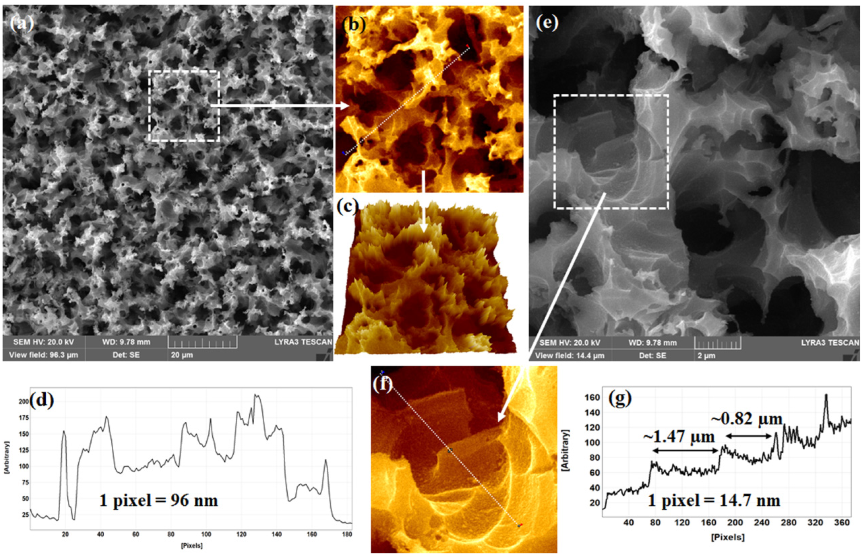 Ijms 24 00106 g002 Ijms 24 00106 g002