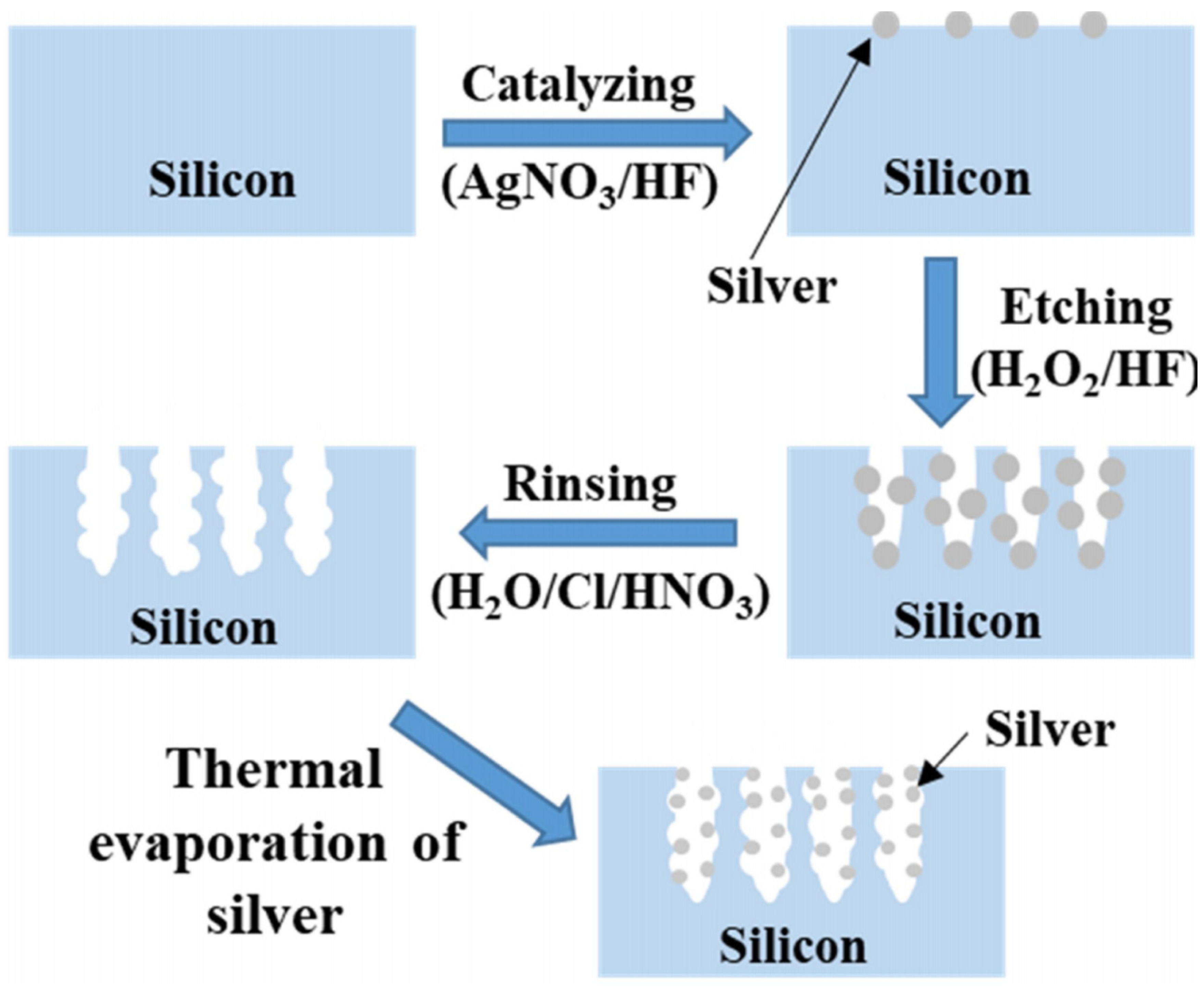 Ijms 24 00106 g006 Ijms 24 00106 g006