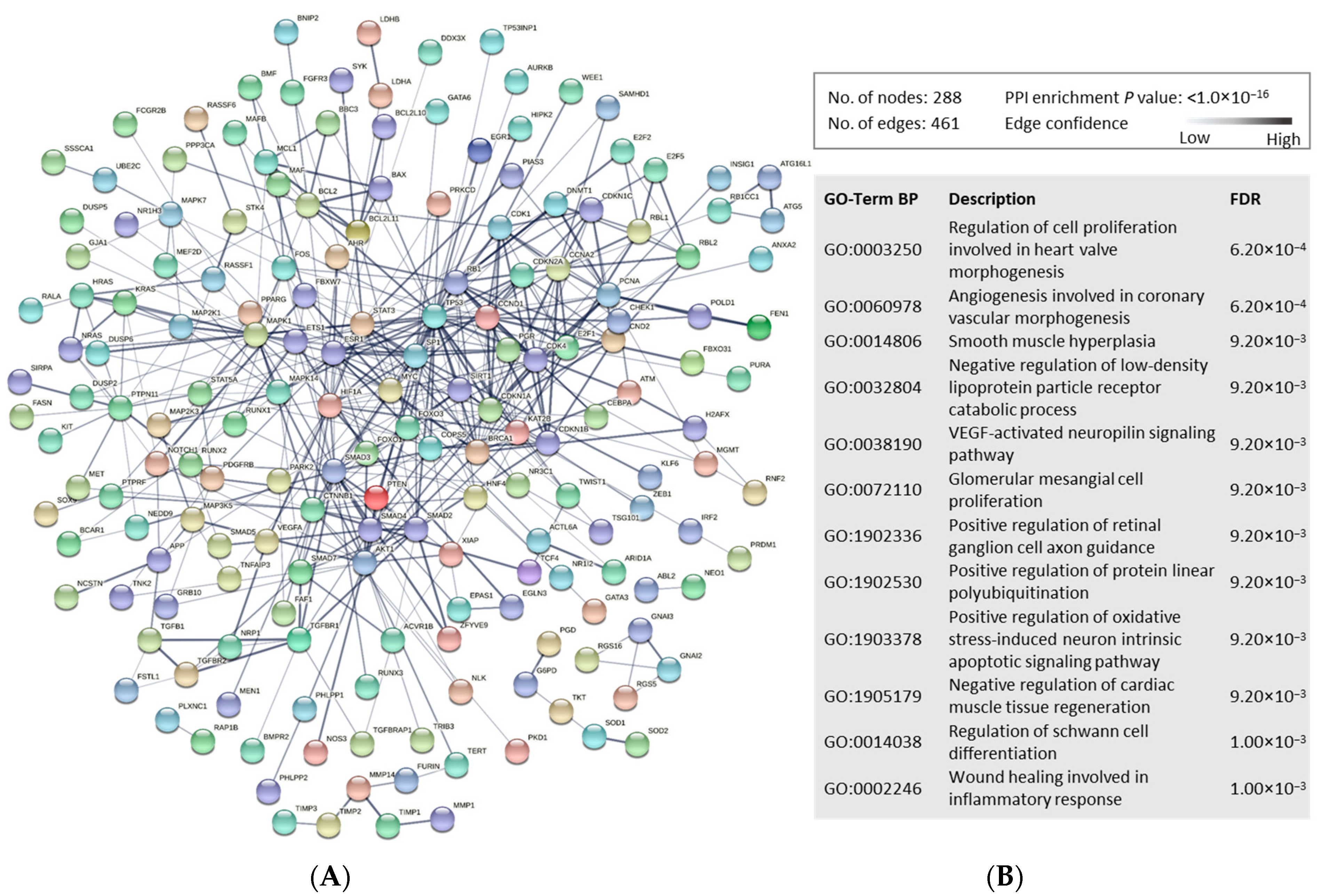 Ijms 24 00108 g004 Ijms 24 00108 g004