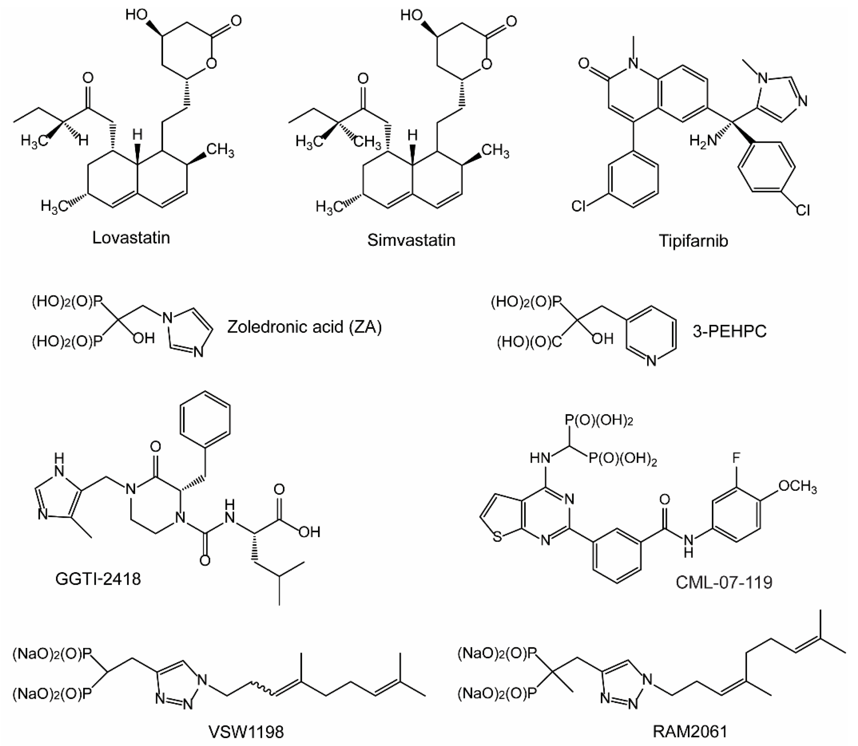 Ijms 24 00111 g002 Ijms 24 00111 g002