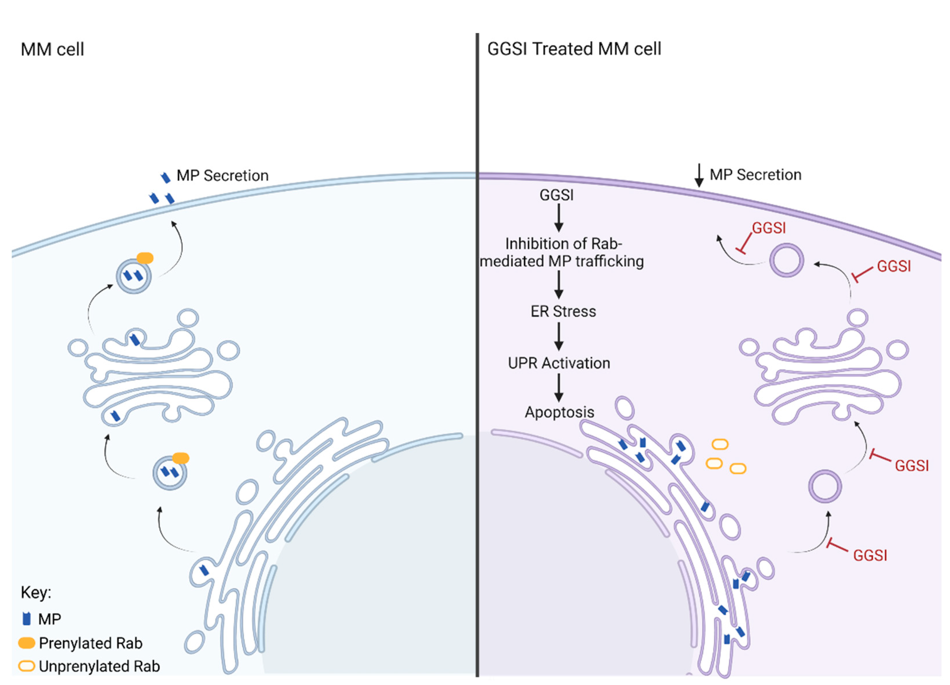 Ijms 24 00111 g003 Ijms 24 00111 g003