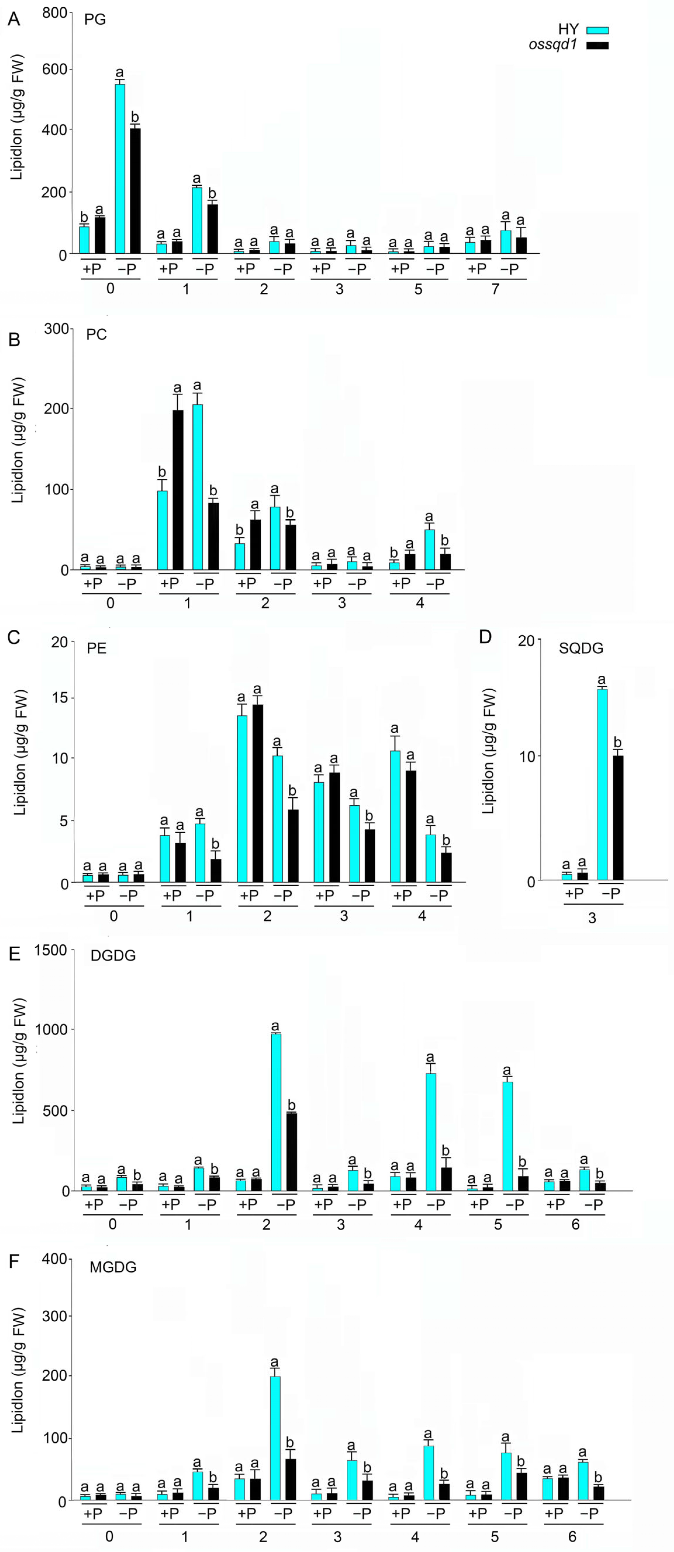 Ijms 24 00114 g004 Ijms 24 00114 g004