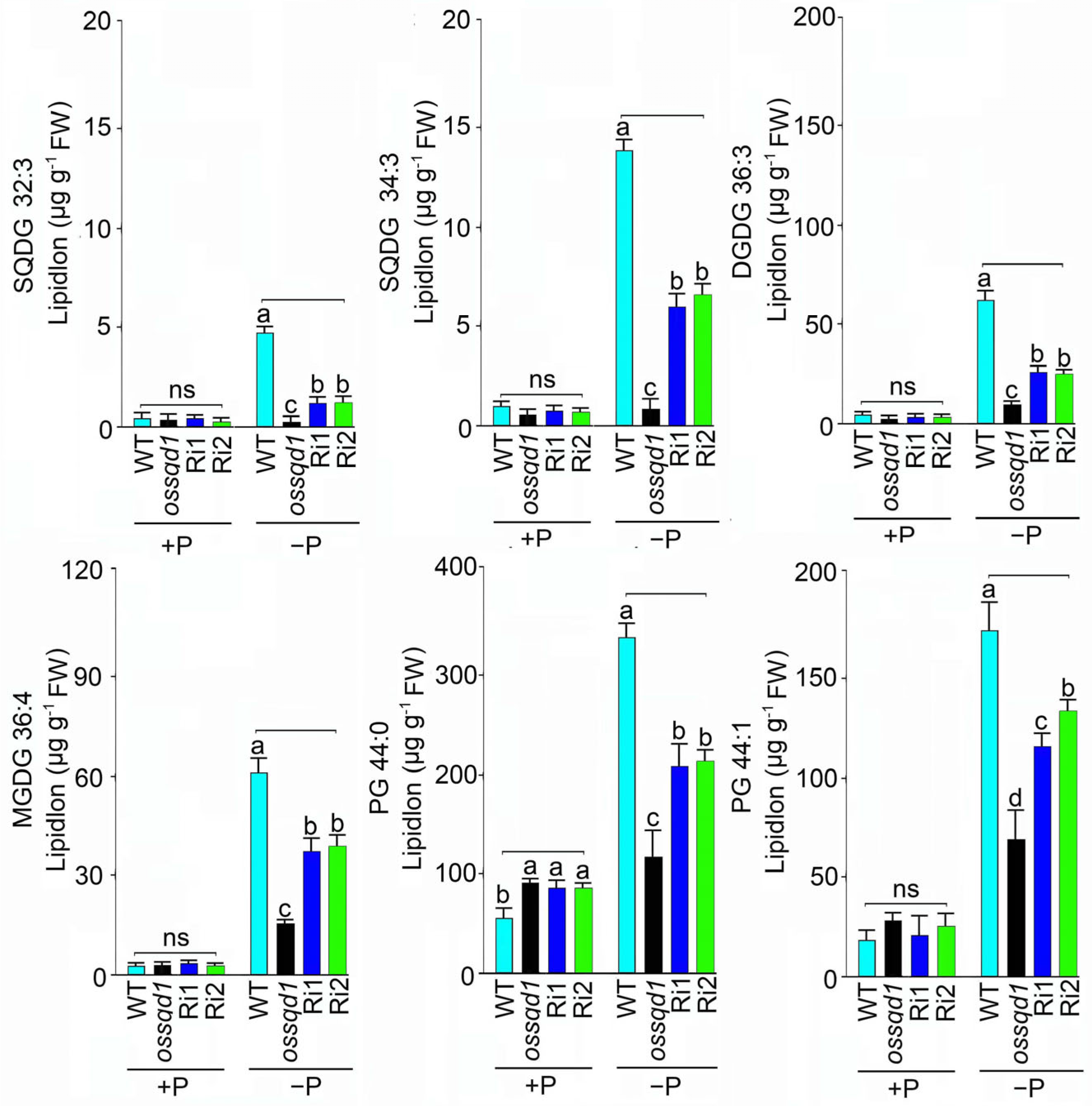 Ijms 24 00114 g005 Ijms 24 00114 g005
