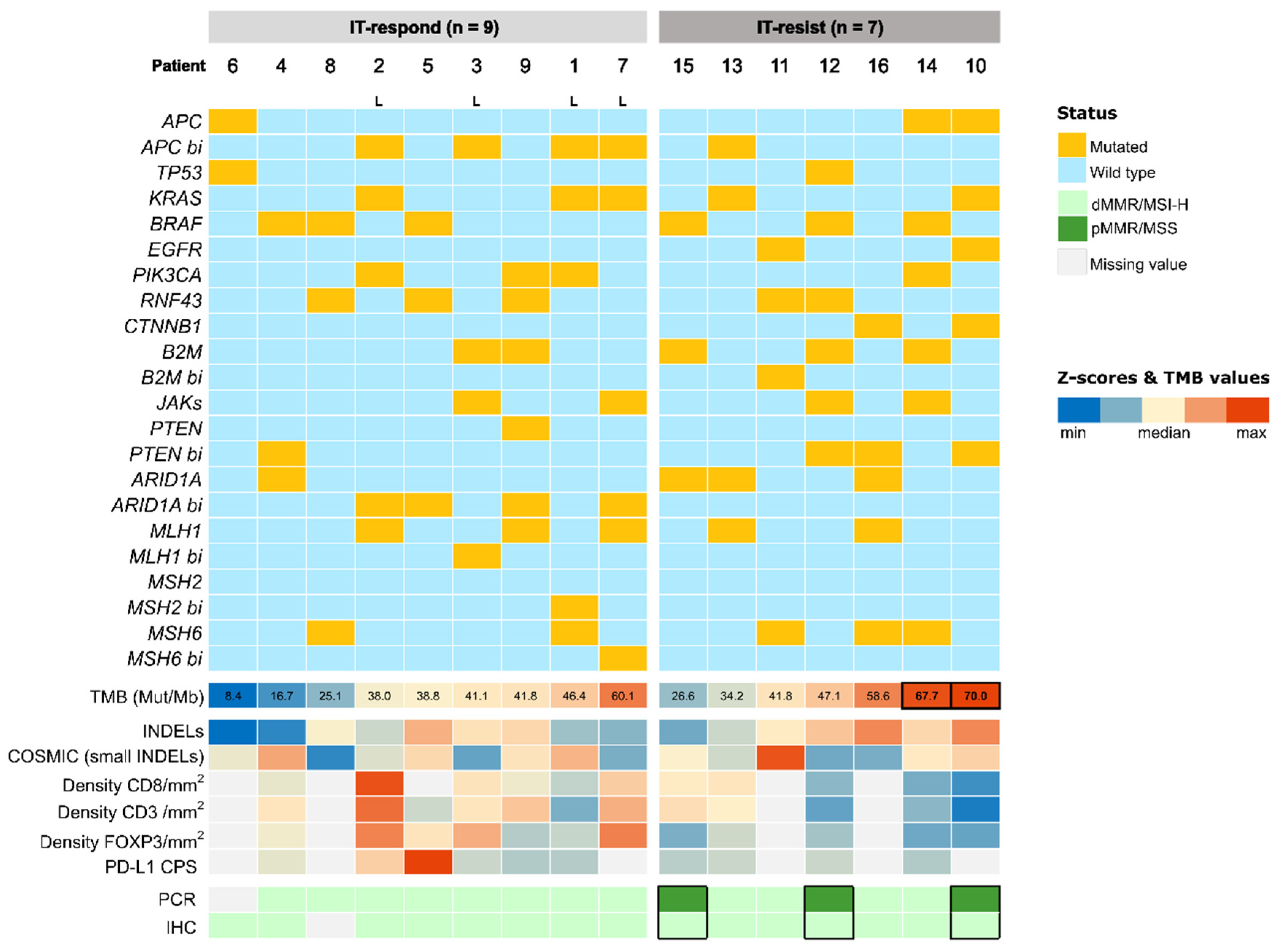 Ijms 24 00118 g003 Ijms 24 00118 g003