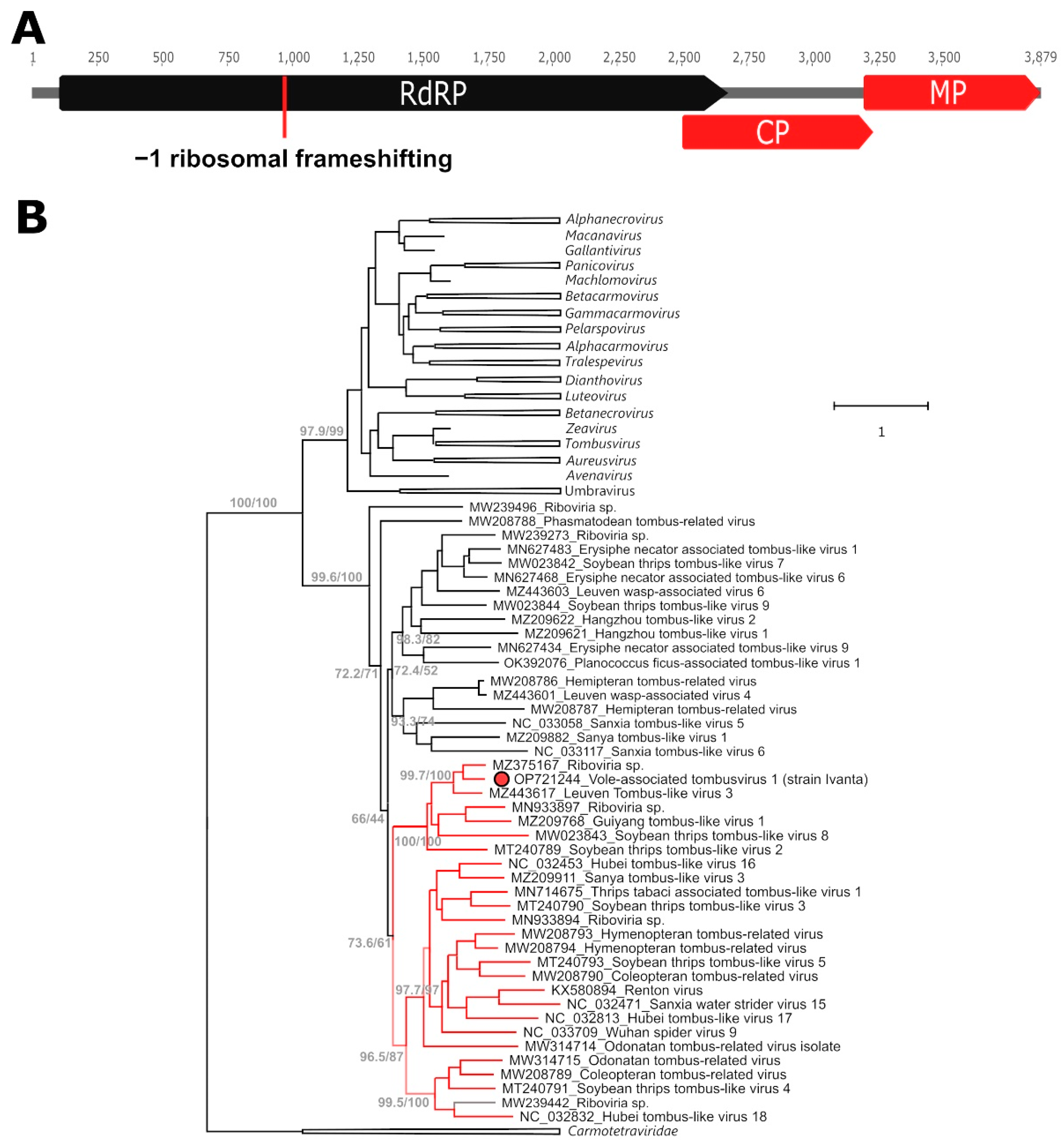 Ijms 24 00131 g001 Ijms 24 00131 g001