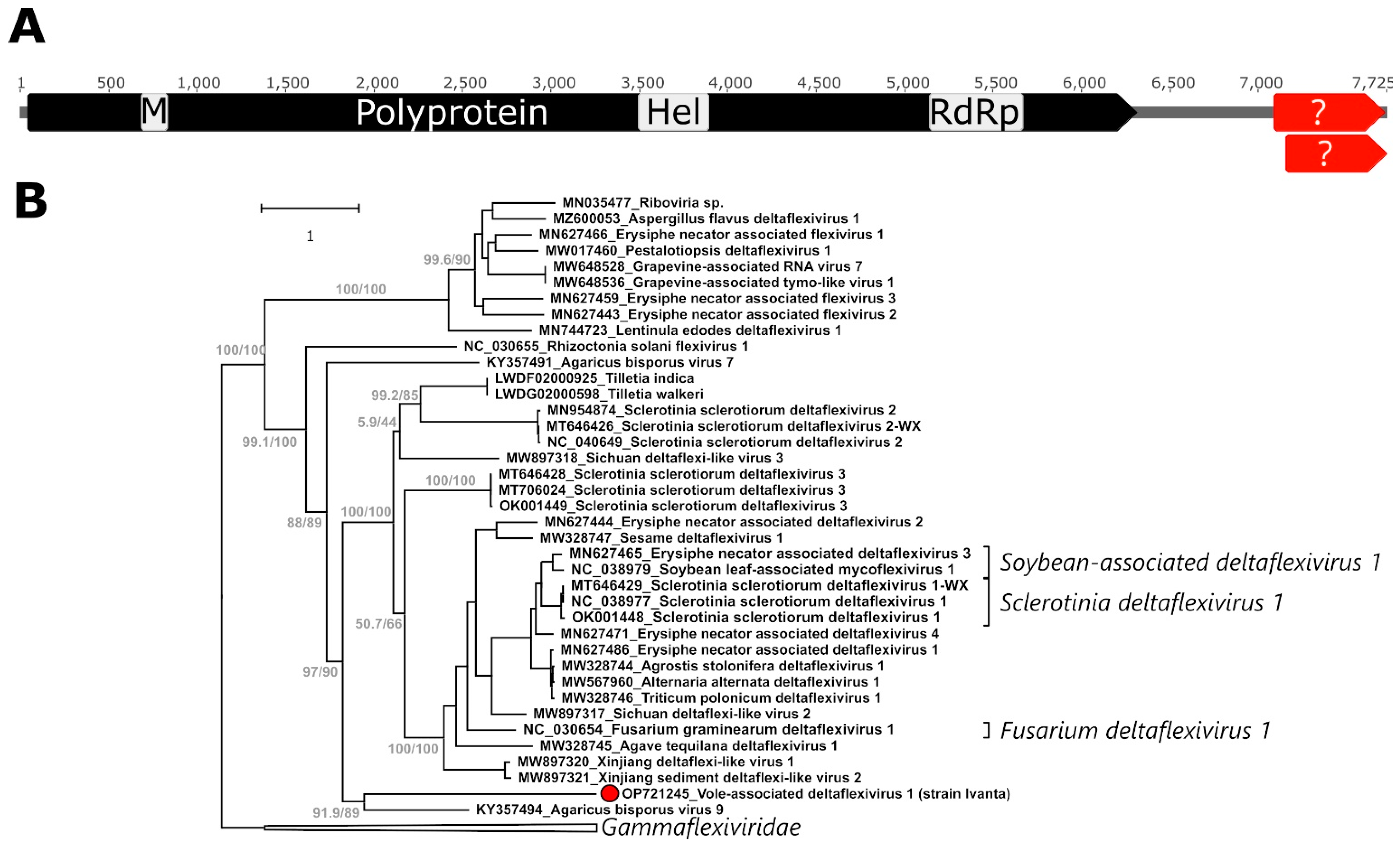 Ijms 24 00131 g002 Ijms 24 00131 g002