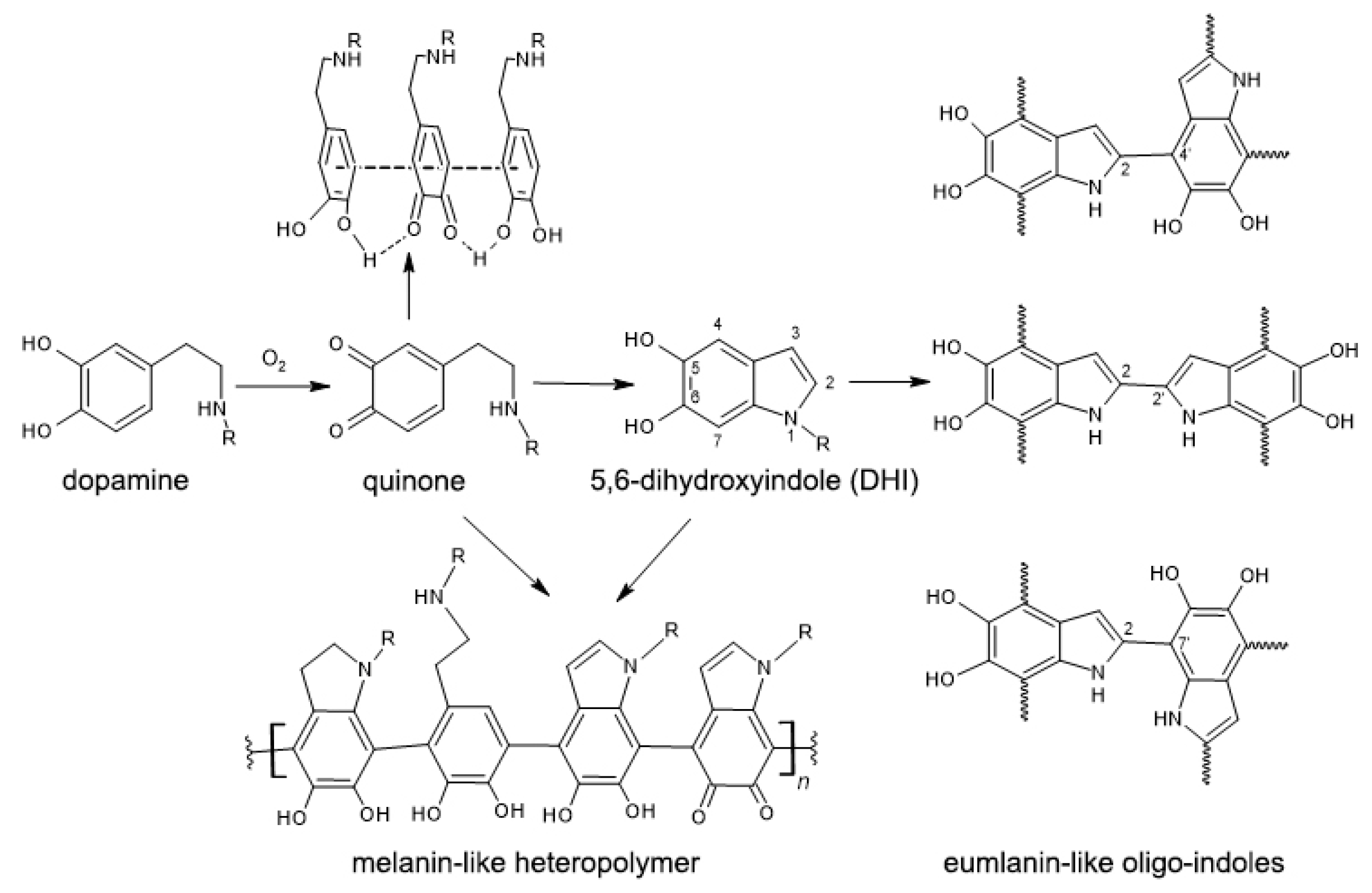 Ijms 24 00134 g007 Ijms 24 00134 g007