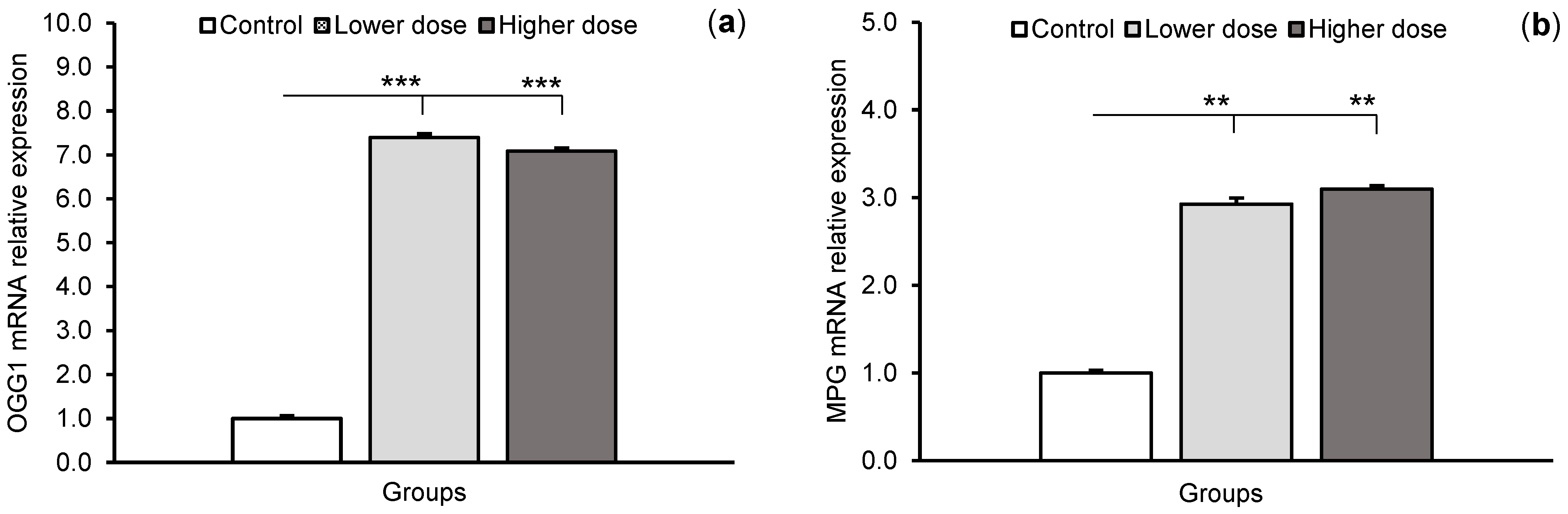 Ijms 24 00136 g003a Ijms 24 00136 g003a