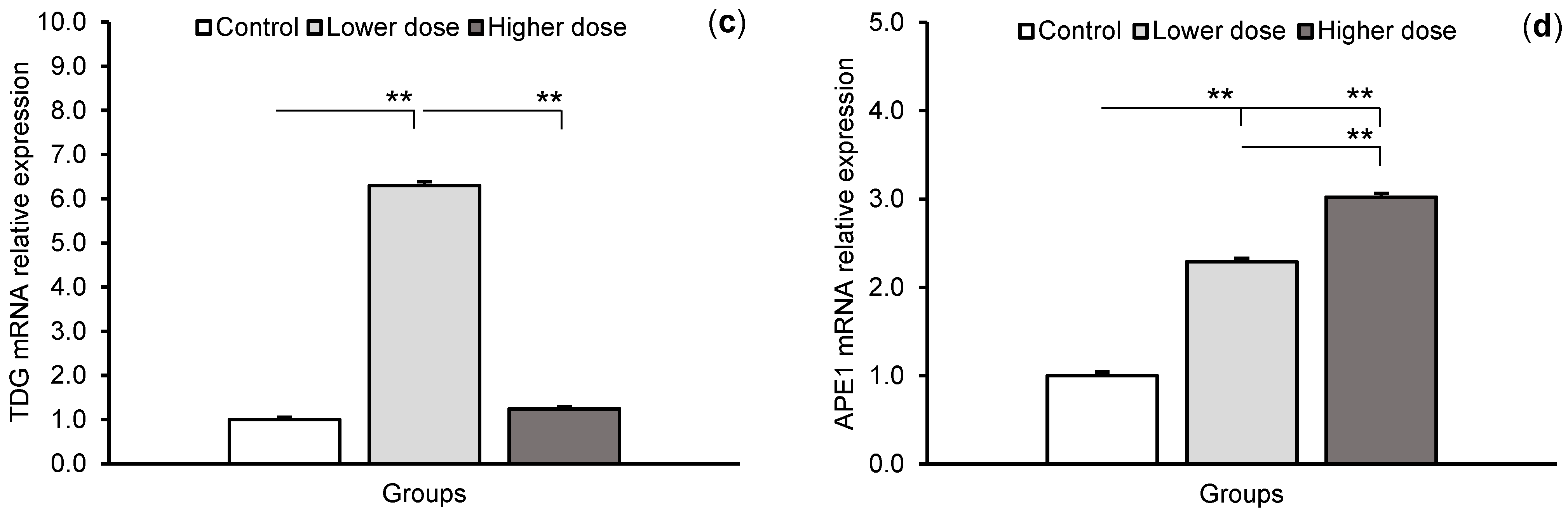 Ijms 24 00136 g003b Ijms 24 00136 g003b