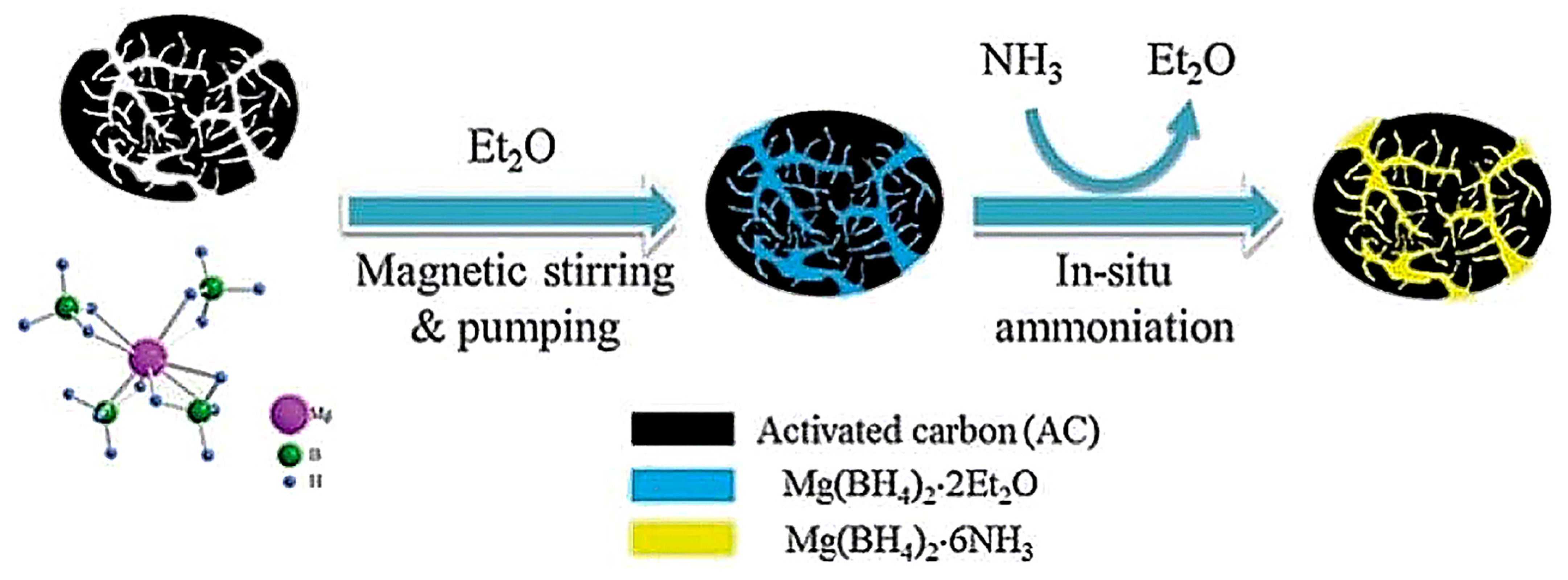 Ijms 24 00143 g012 Ijms 24 00143 g012