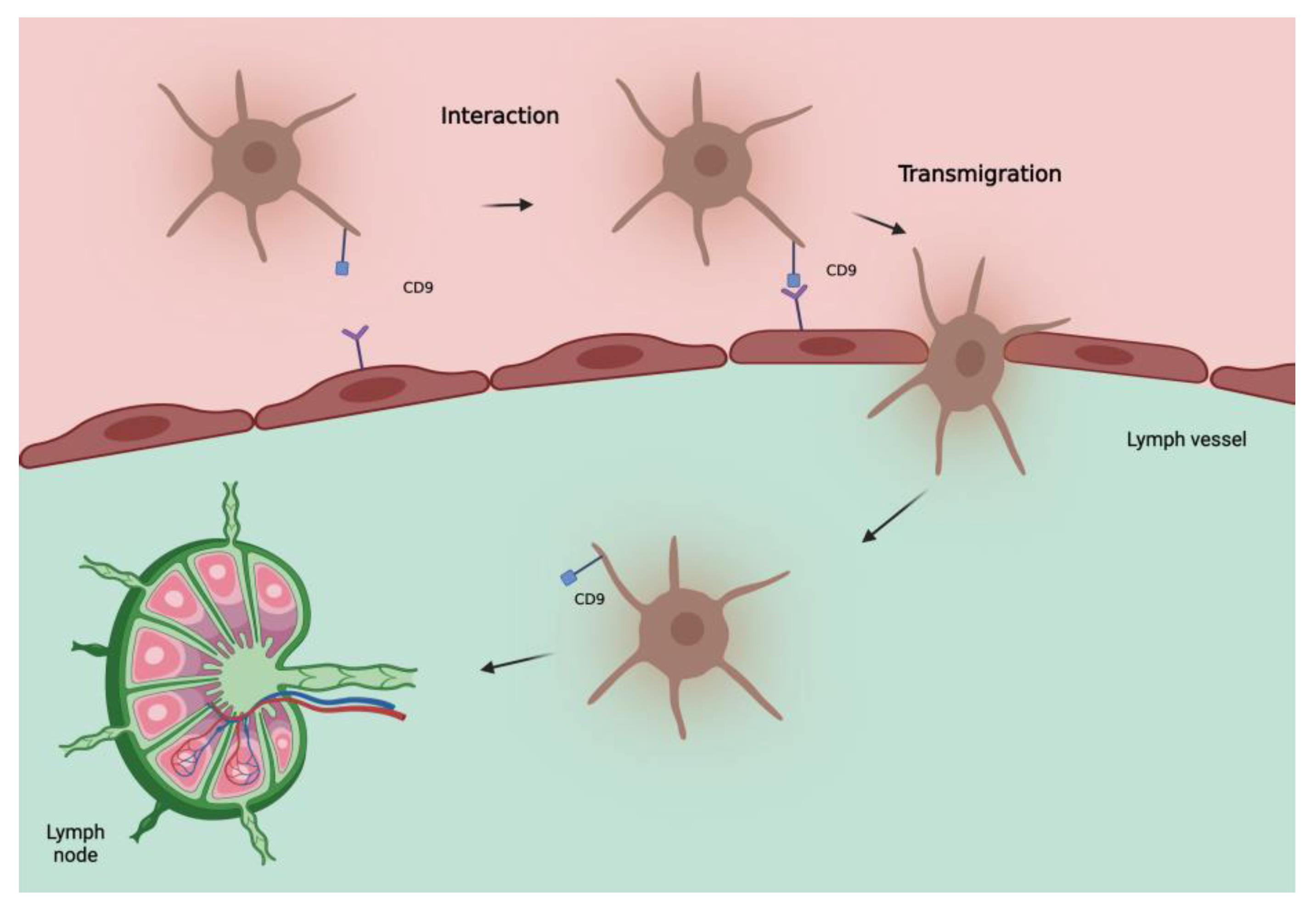 Ijms 24 00144 g001 Ijms 24 00144 g001