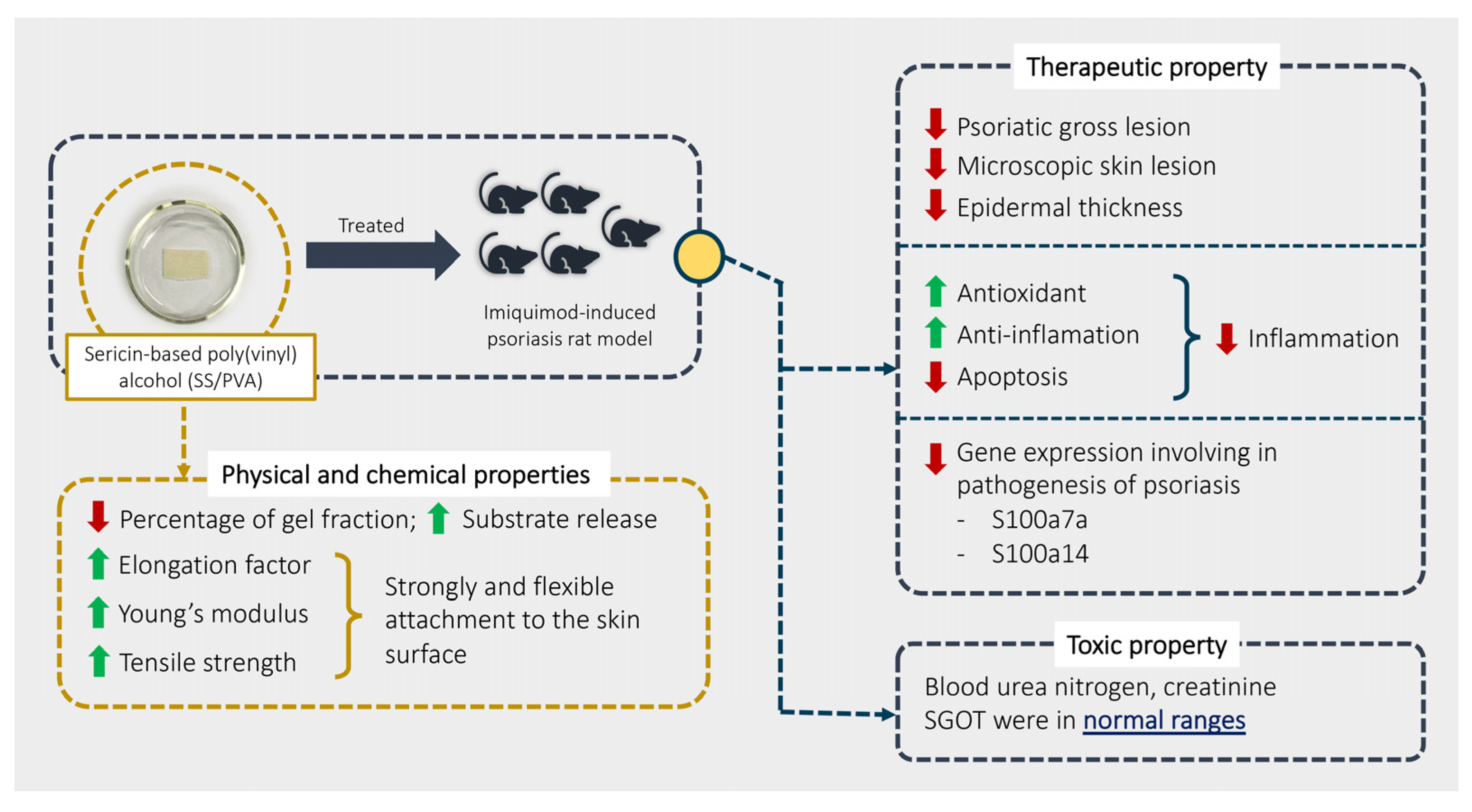 Ijms 24 00145 g006 Ijms 24 00145 g006