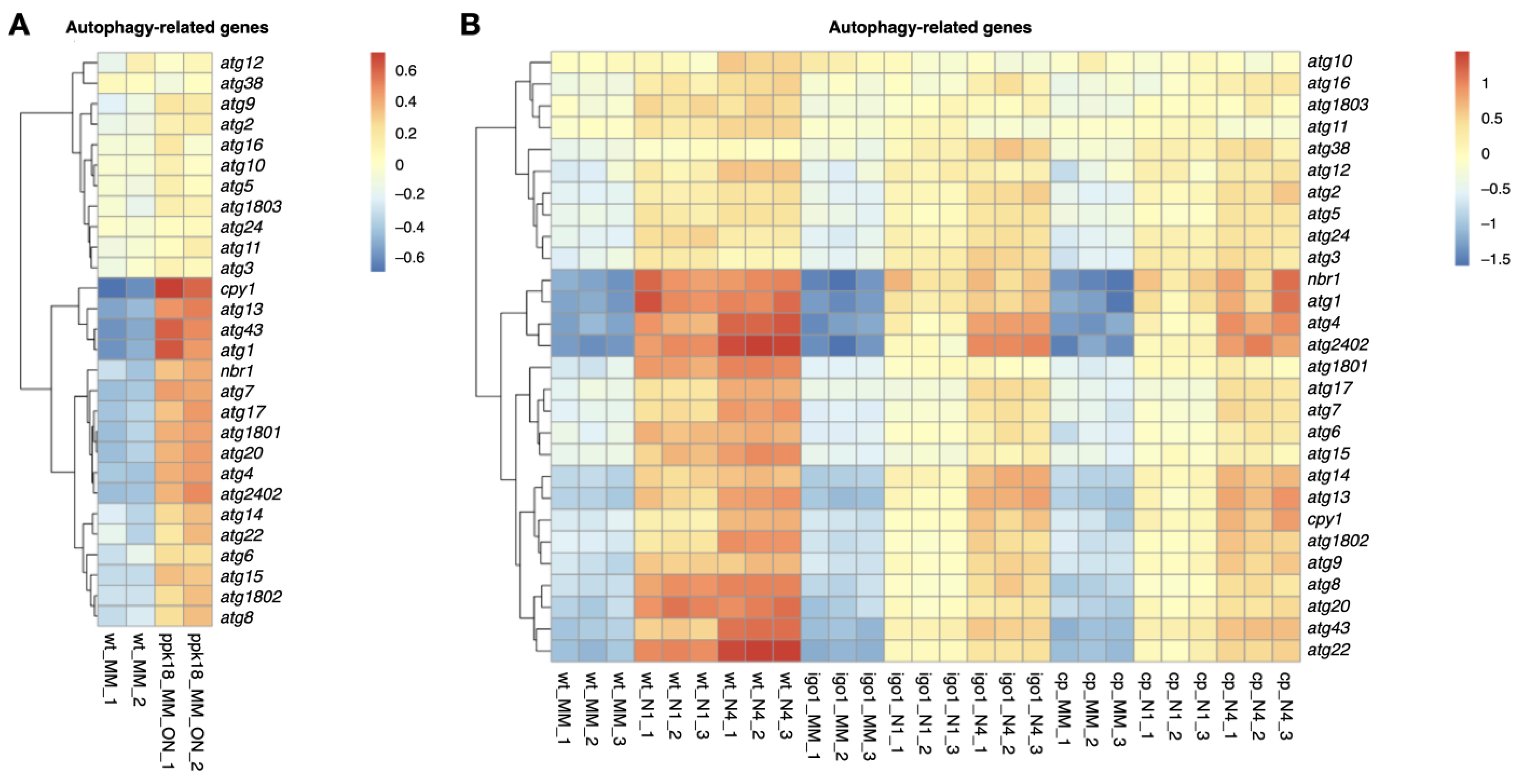 Ijms 24 00148 g006 Ijms 24 00148 g006