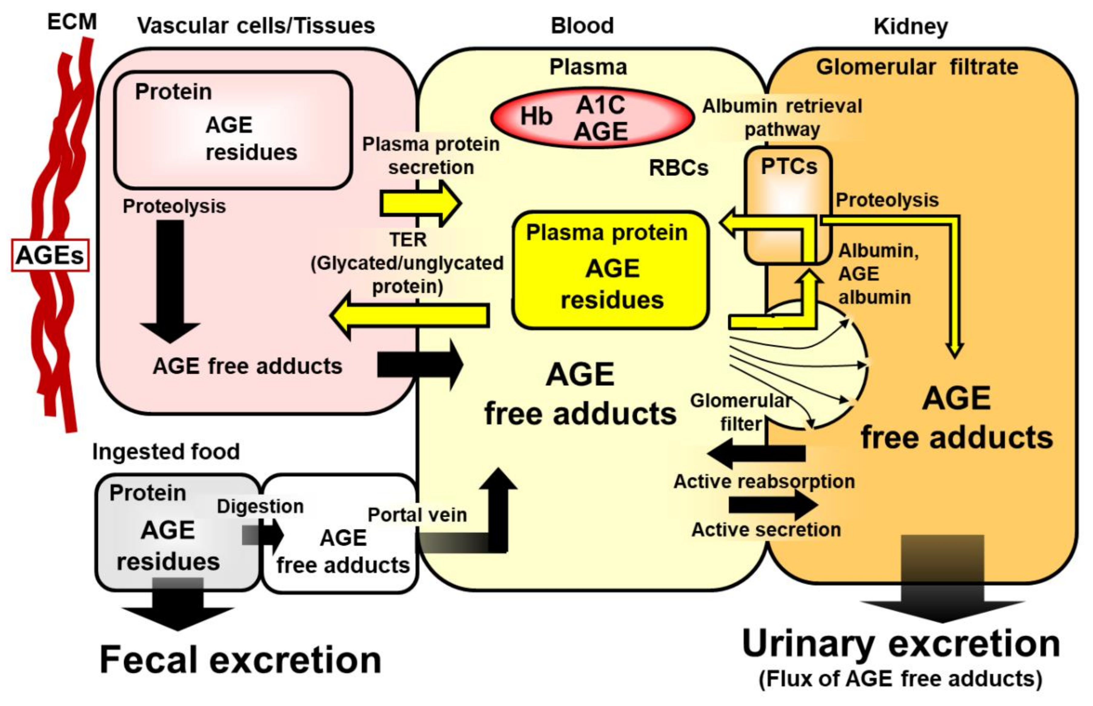 Ijms 24 00152 g001 Ijms 24 00152 g001