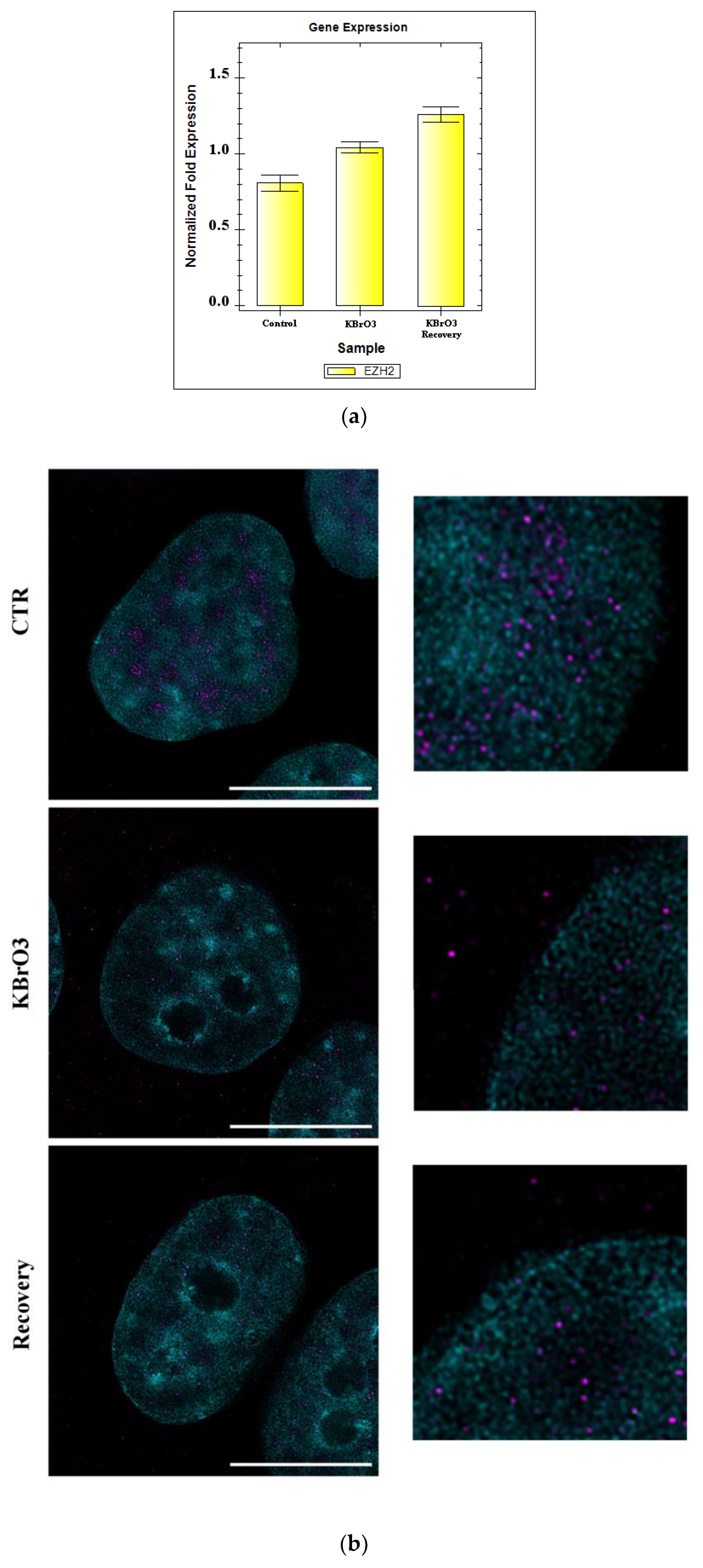 Ijms 24 00153 g004a Ijms 24 00153 g004a