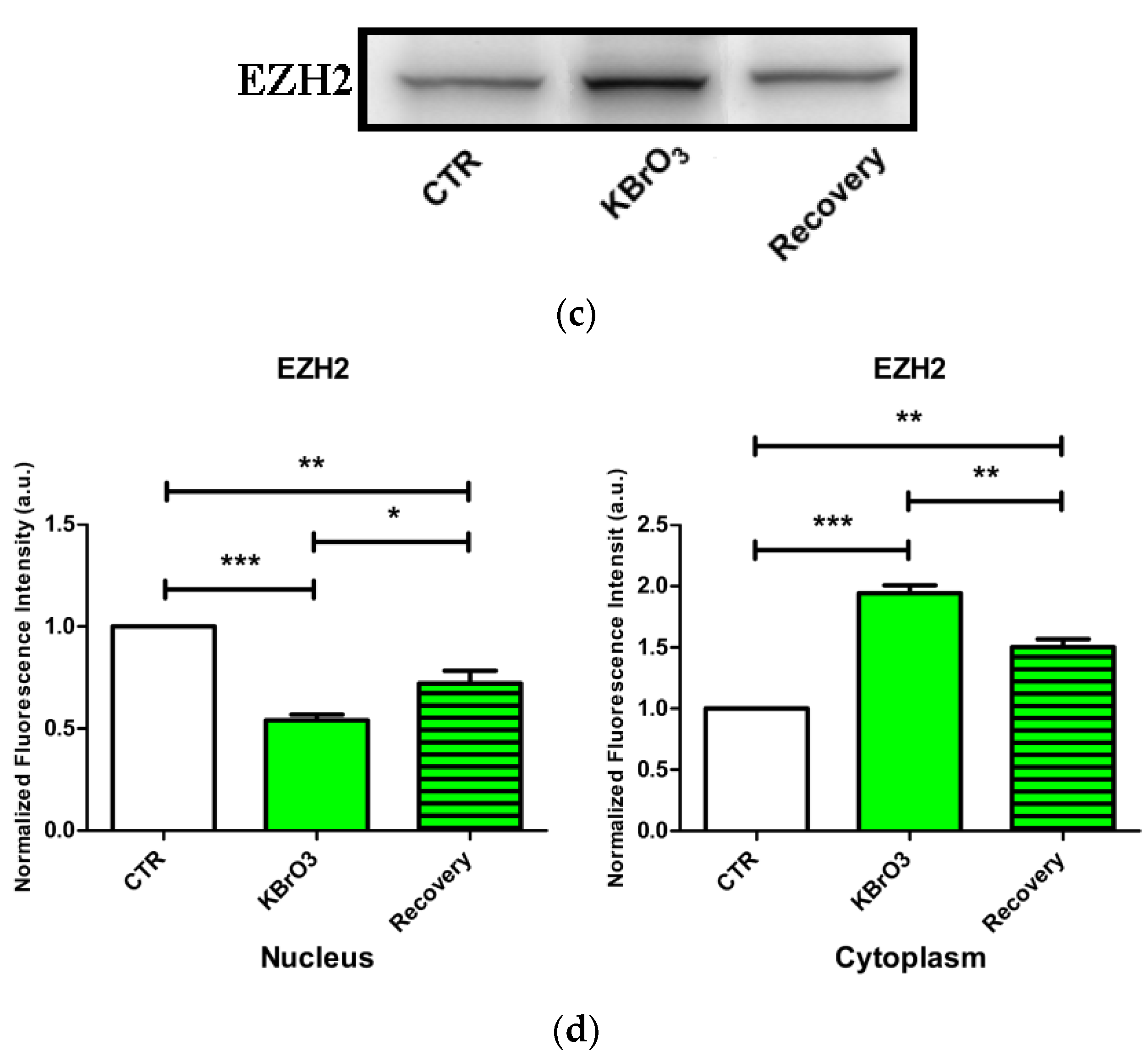 Ijms 24 00153 g004b Ijms 24 00153 g004b