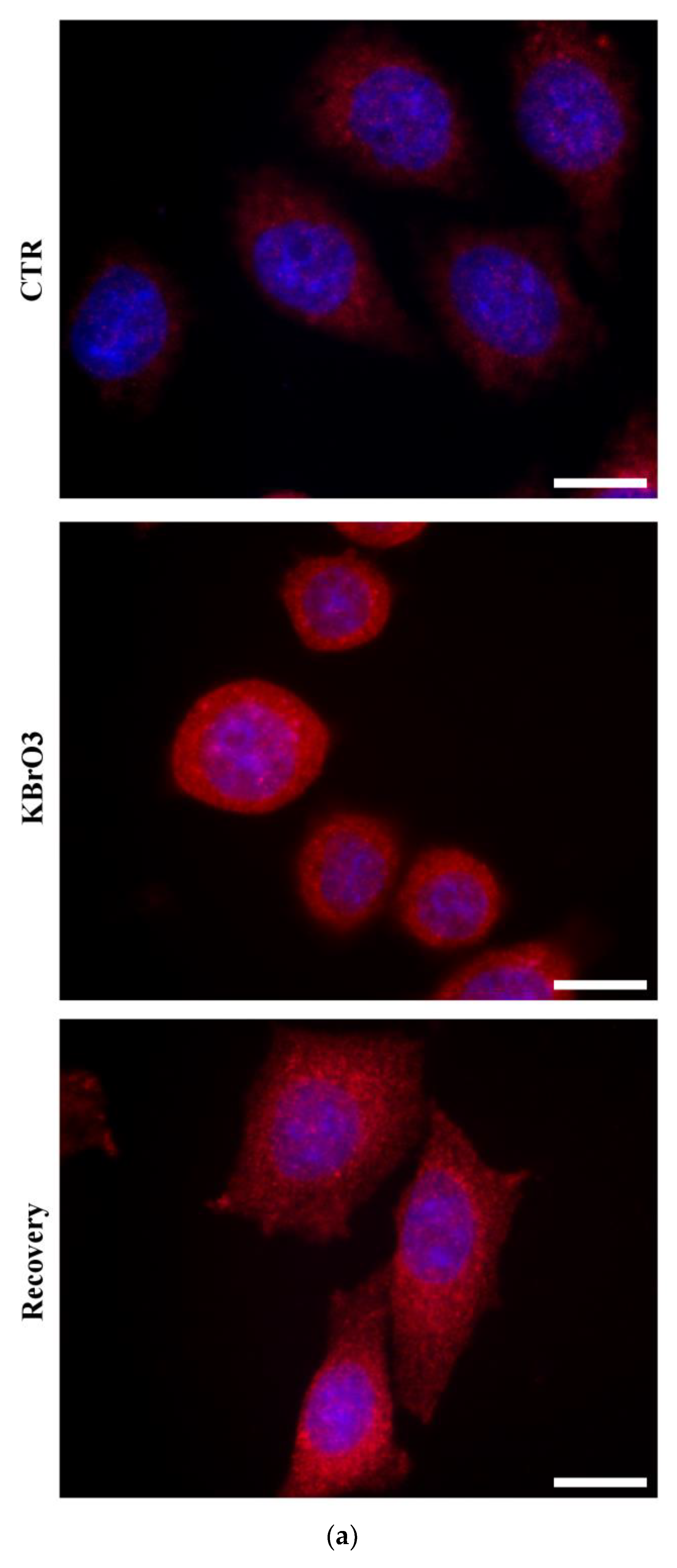 Ijms 24 00153 g006a Ijms 24 00153 g006a