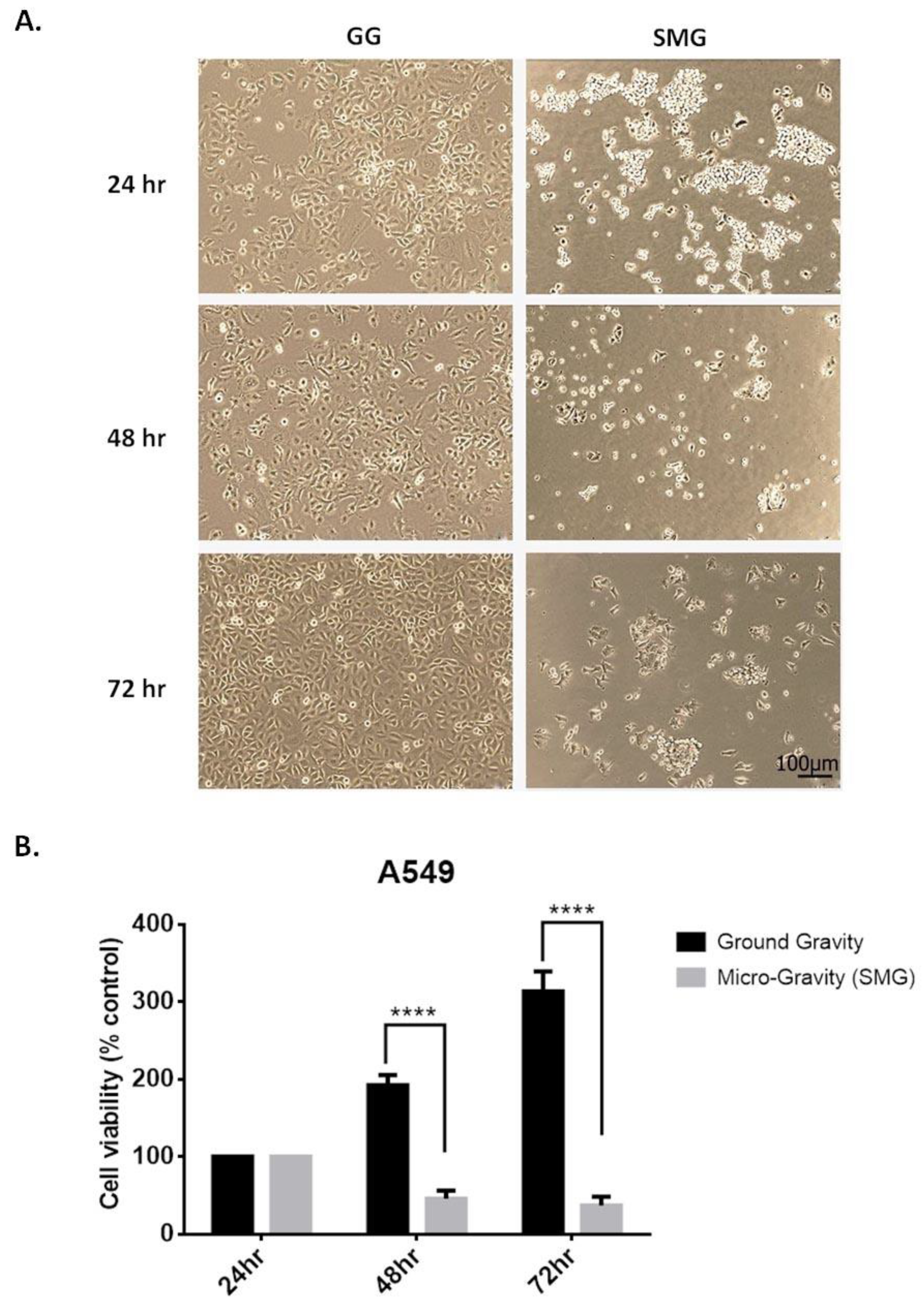 Ijms 24 00155 g005 Ijms 24 00155 g005
